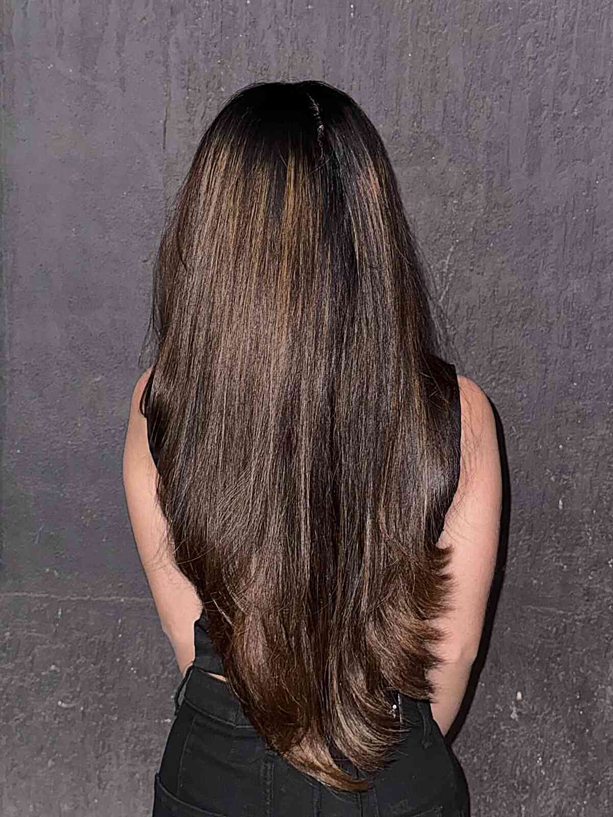 Long Layered Brunette Hair with Subtle Highlights