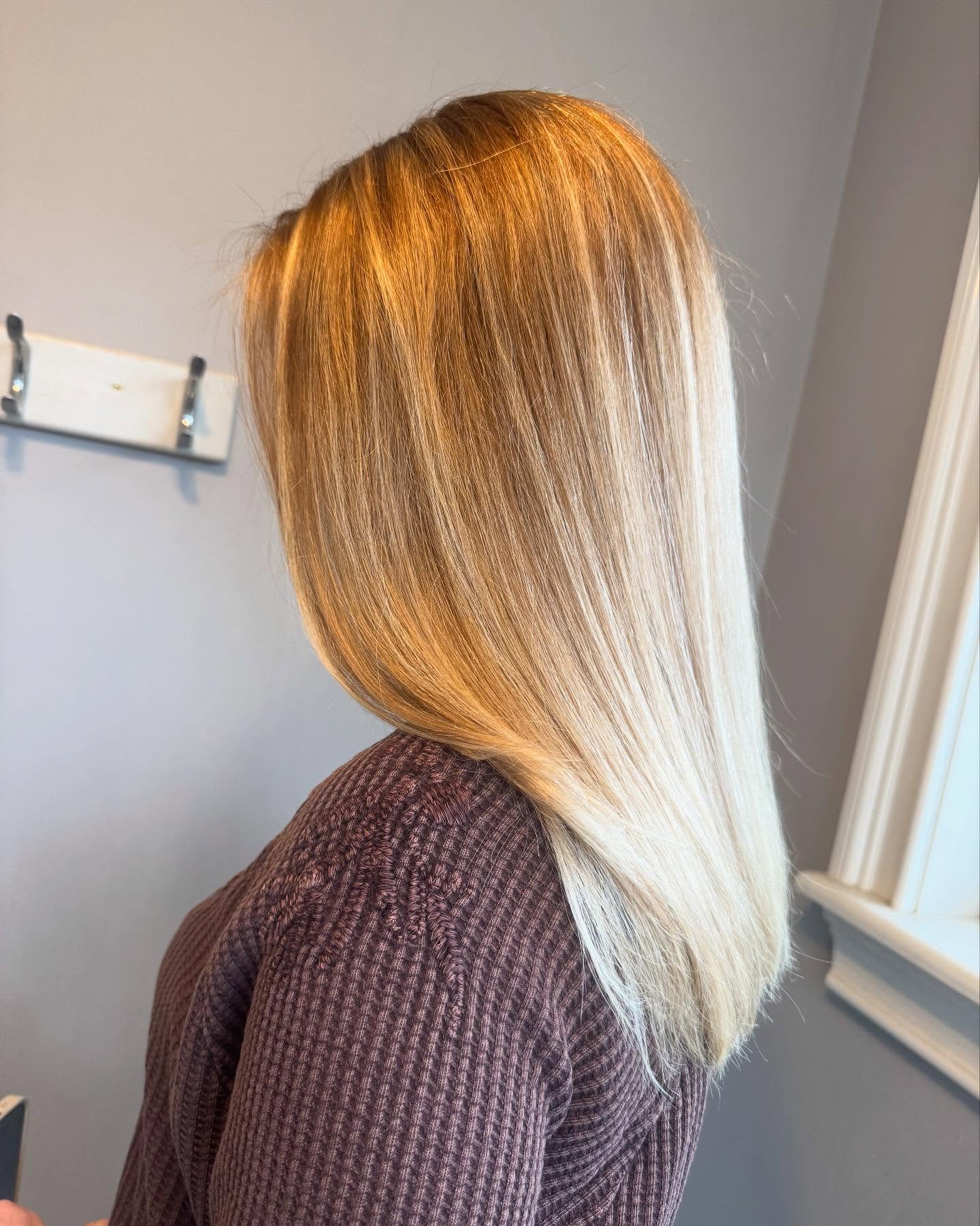 Radiant Long Sleek Cut with Subtle Balayage