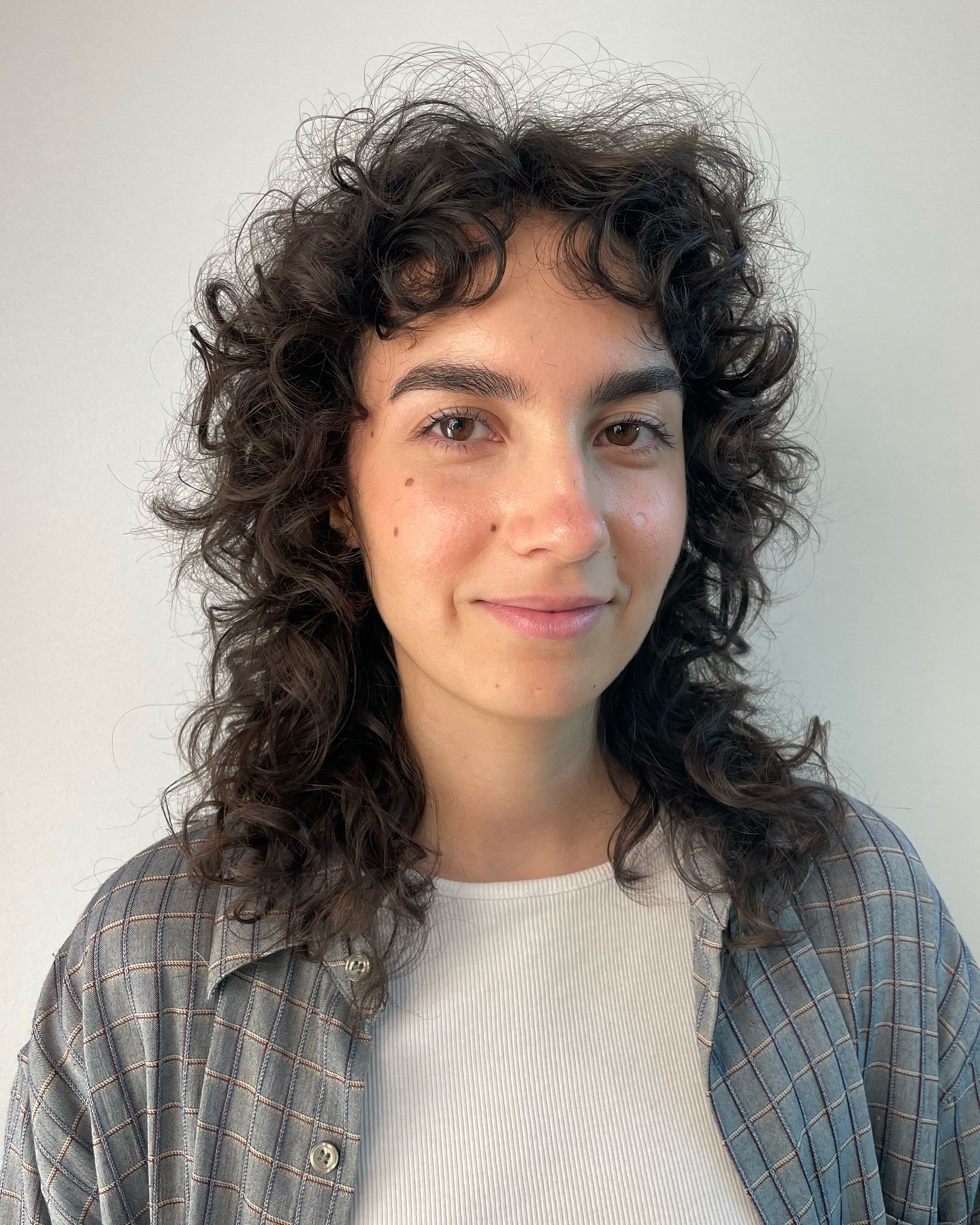 Textured Curly Shag with Defined Layers