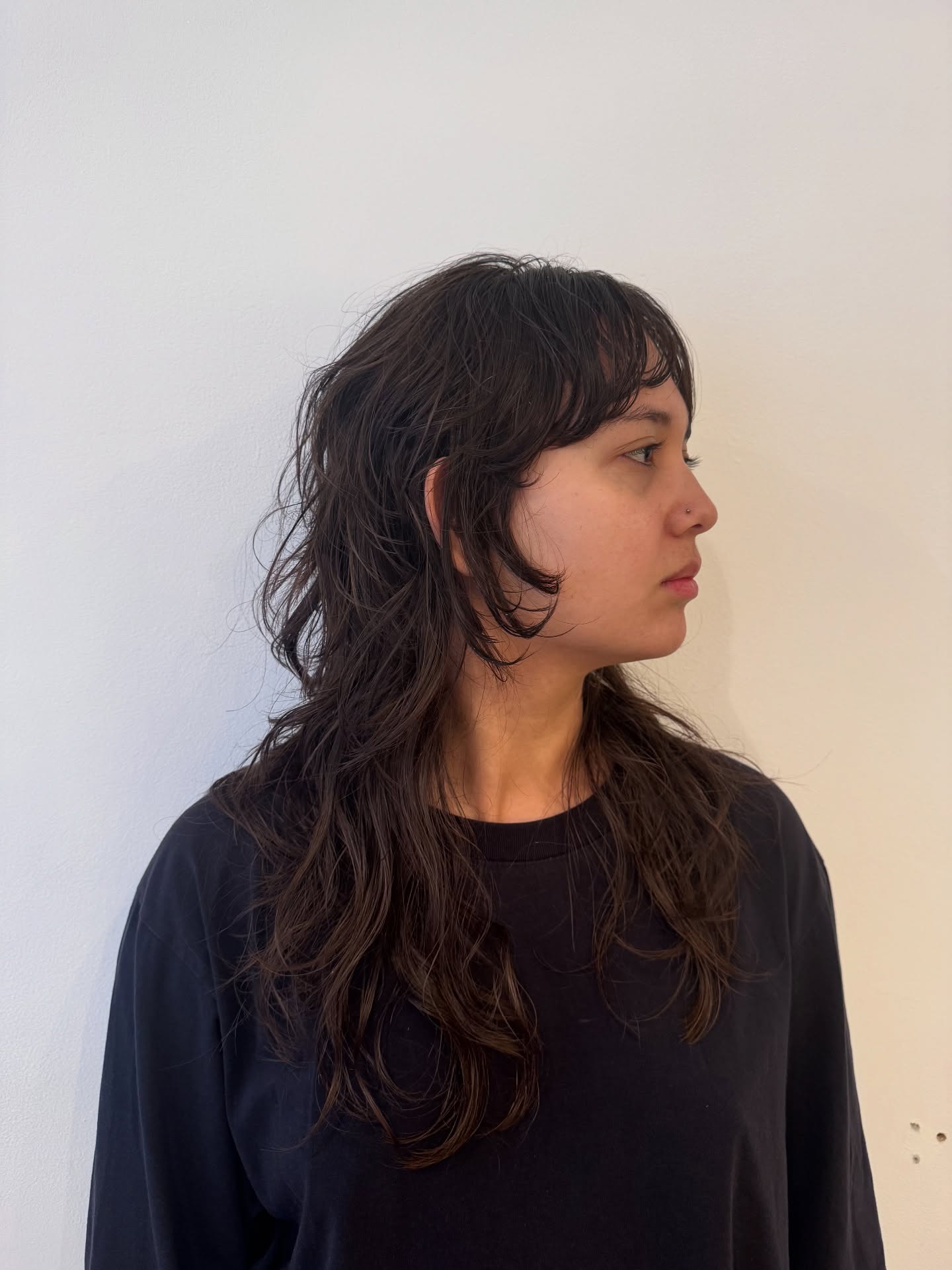 Textured Shag with Wispy Ends and Subtle Layers