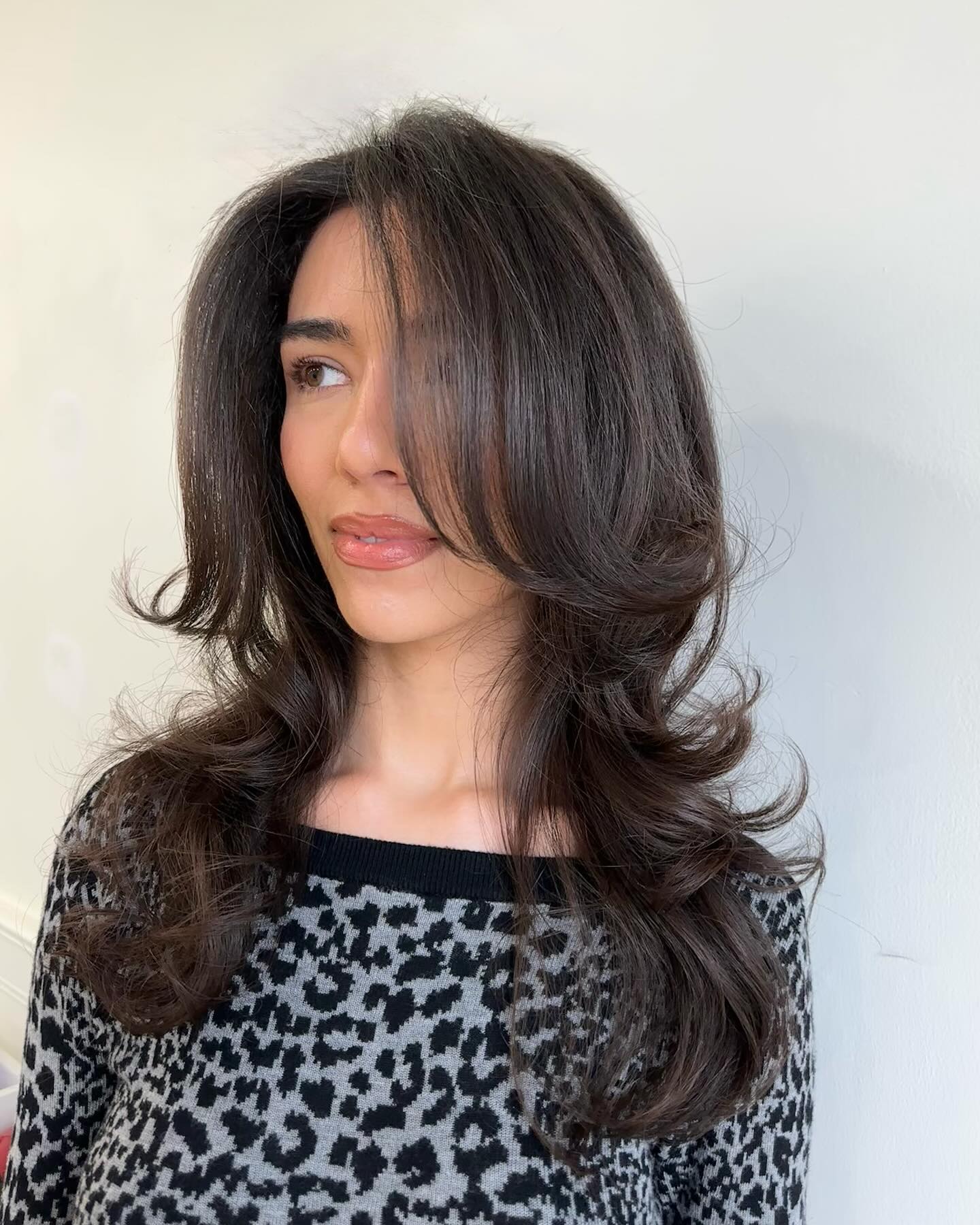 Elegant Long Layered Cut with Subtle Volume