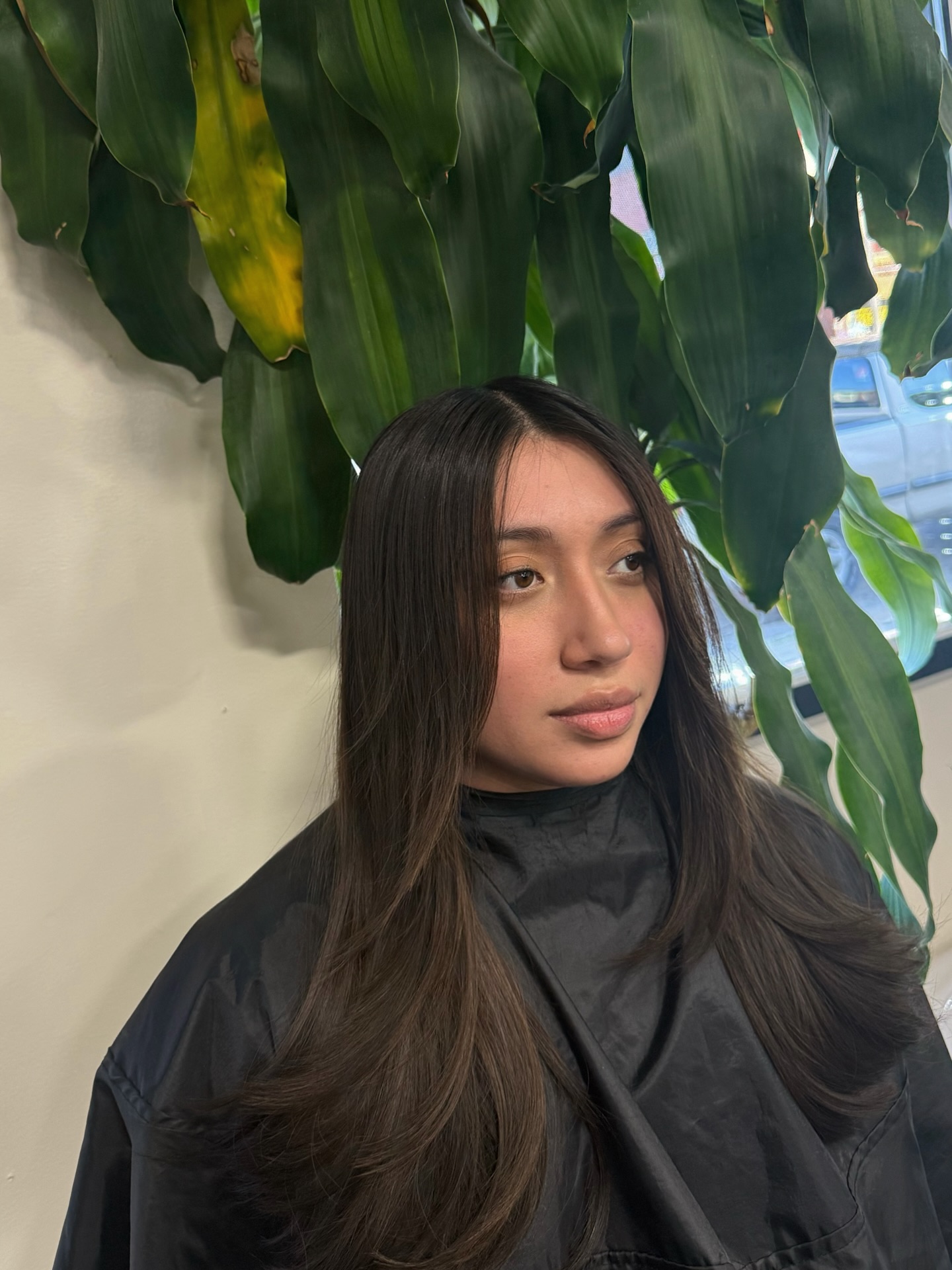 Sleek Long Layered Cut with Subtle Movement
