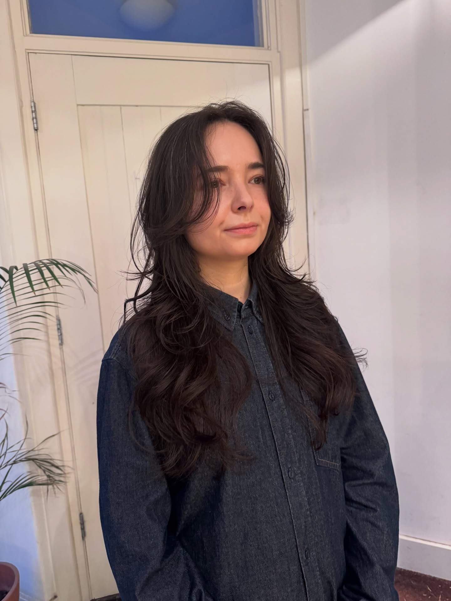 Soft Layered Cut with Face-Framing Highlights