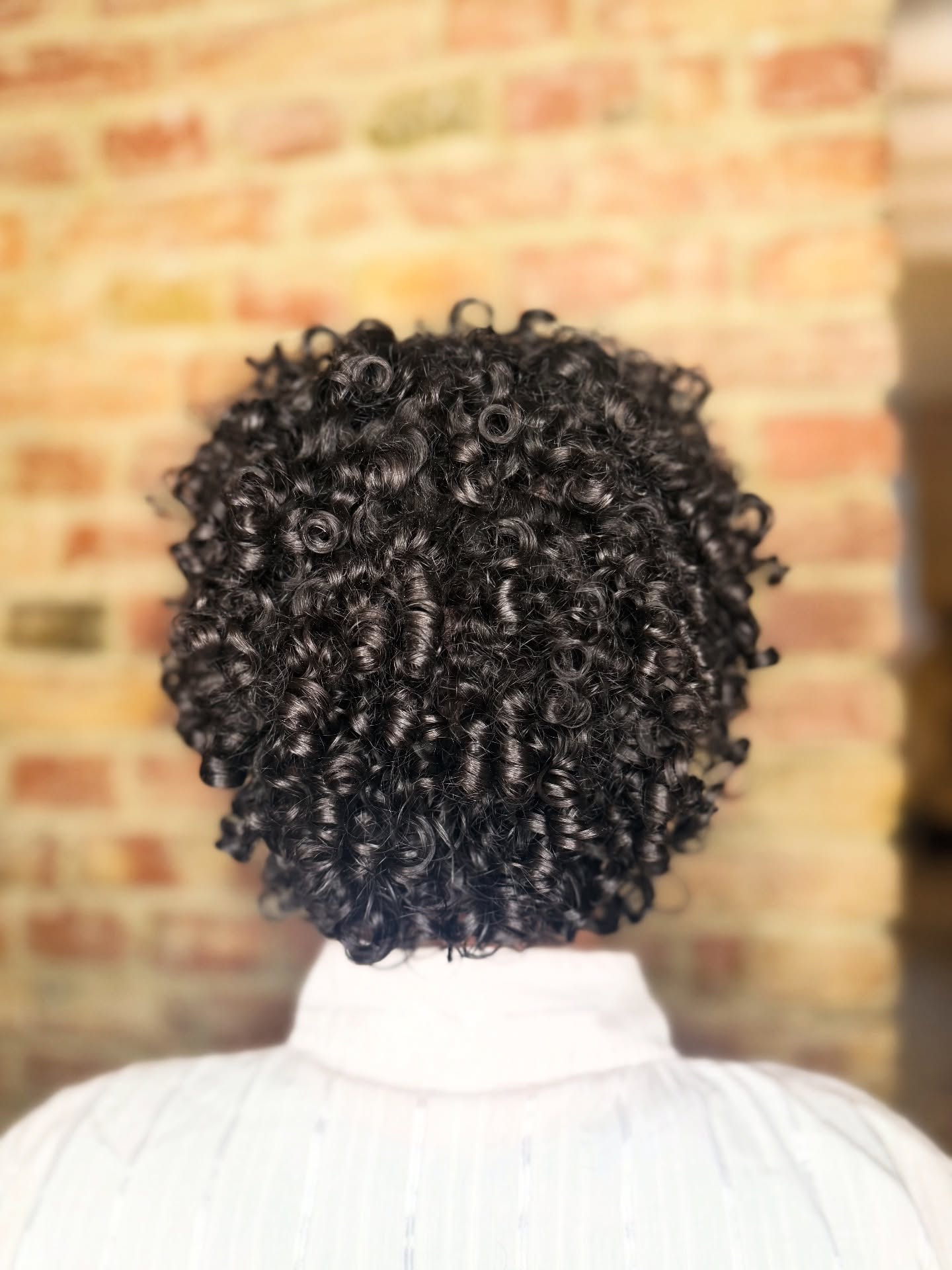 Charming Curly Round Bob with Defined Curls