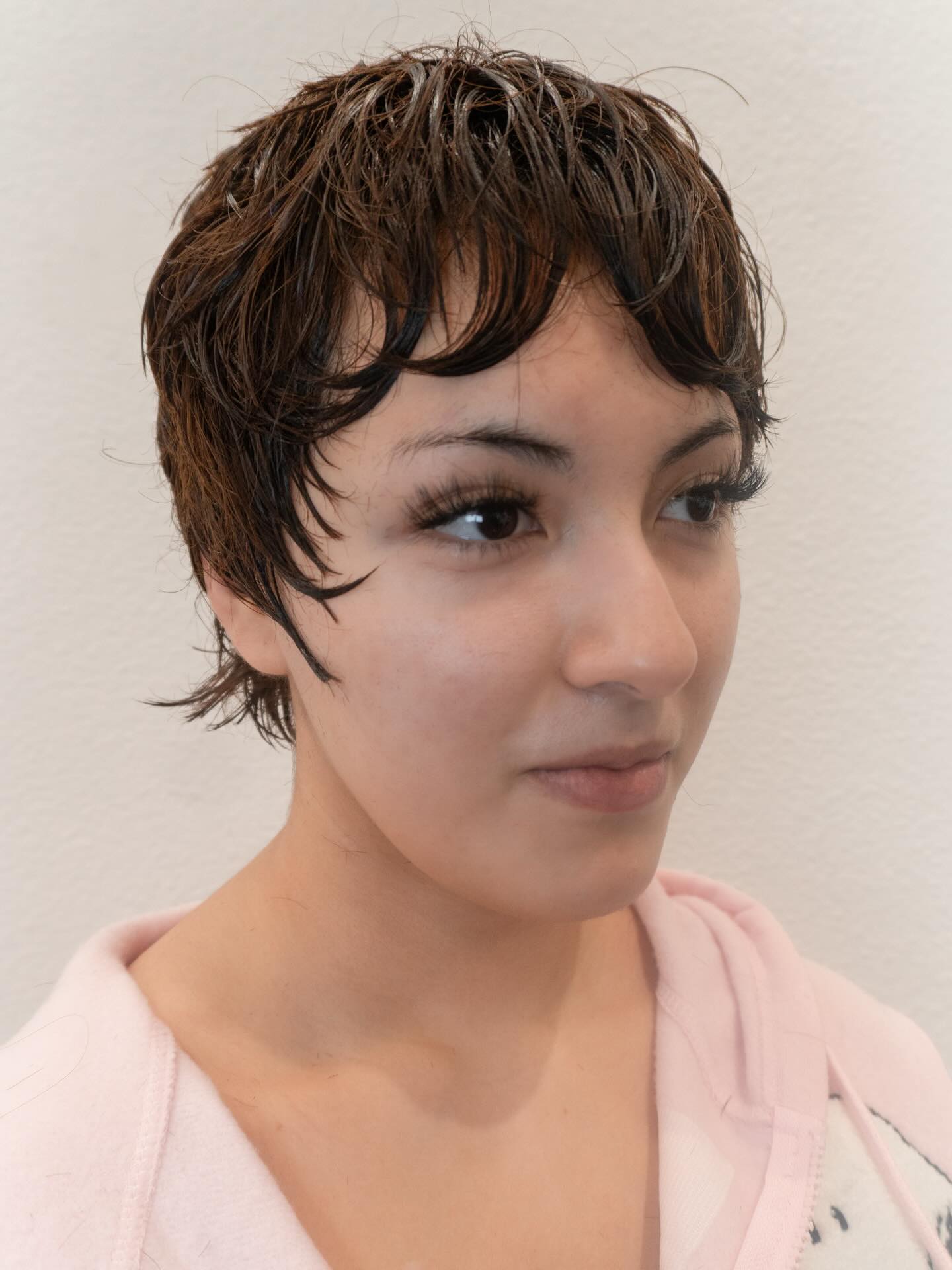 Playful Pixie Shag with Soft Textured Layers