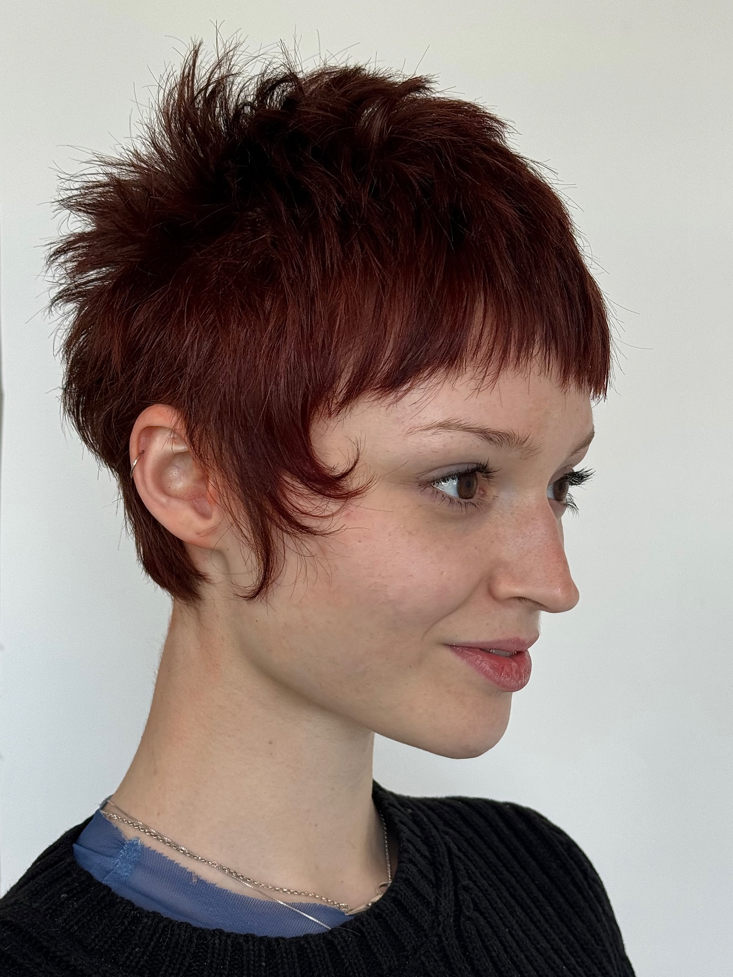 Vibrant Textured Pixie Shag with Defined Layers