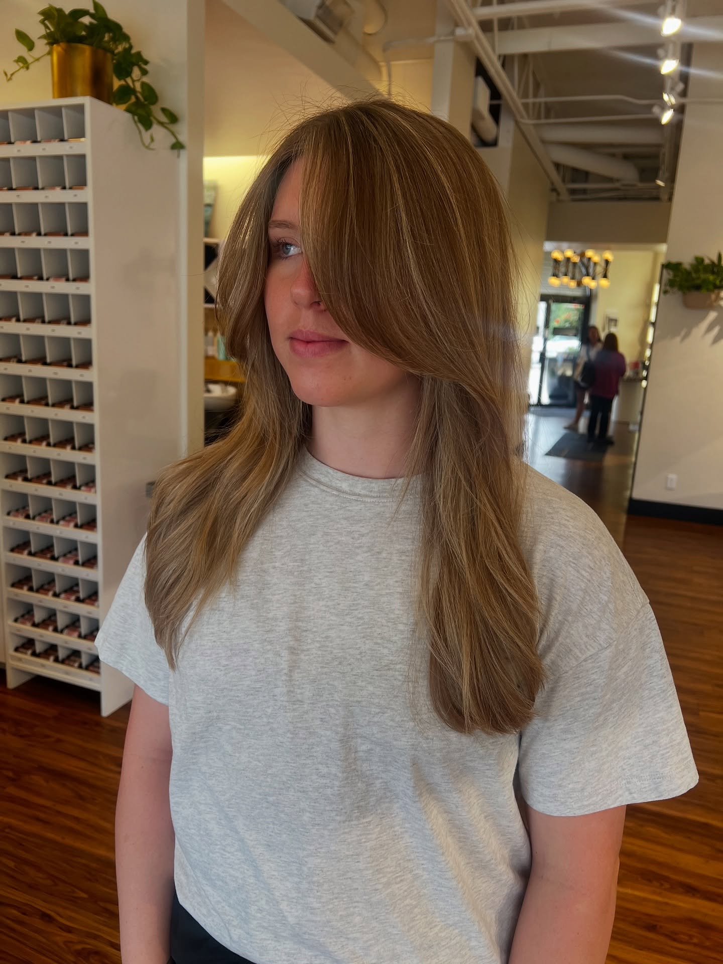 Chic Long Layered Cut with Face-Framing Highlights