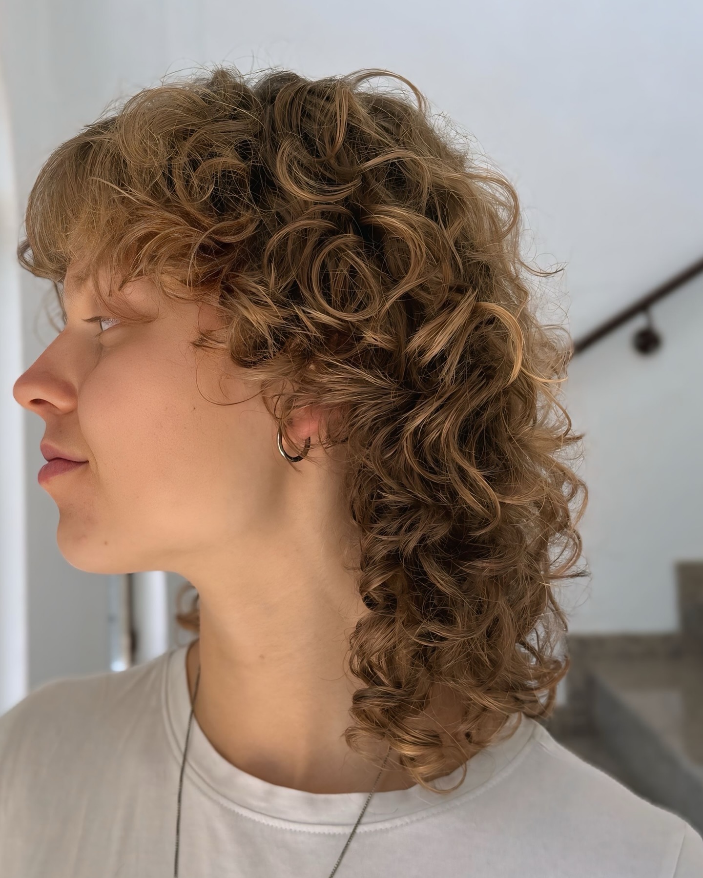 Curly Wolf Cut with Defined Layers
