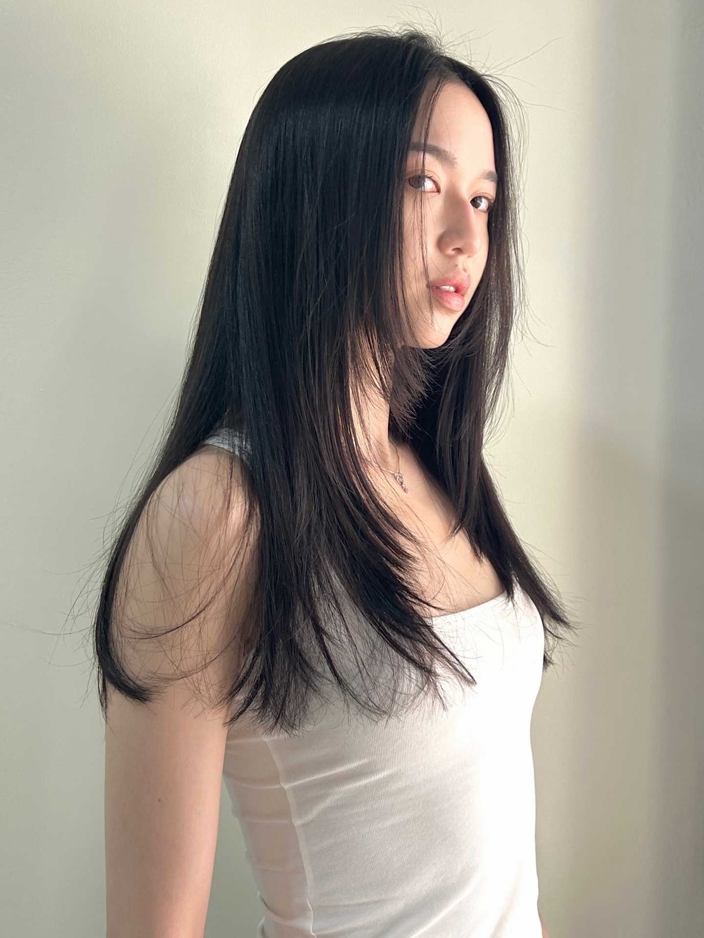 Sleek Long Hair with Subtle Layered Texture
