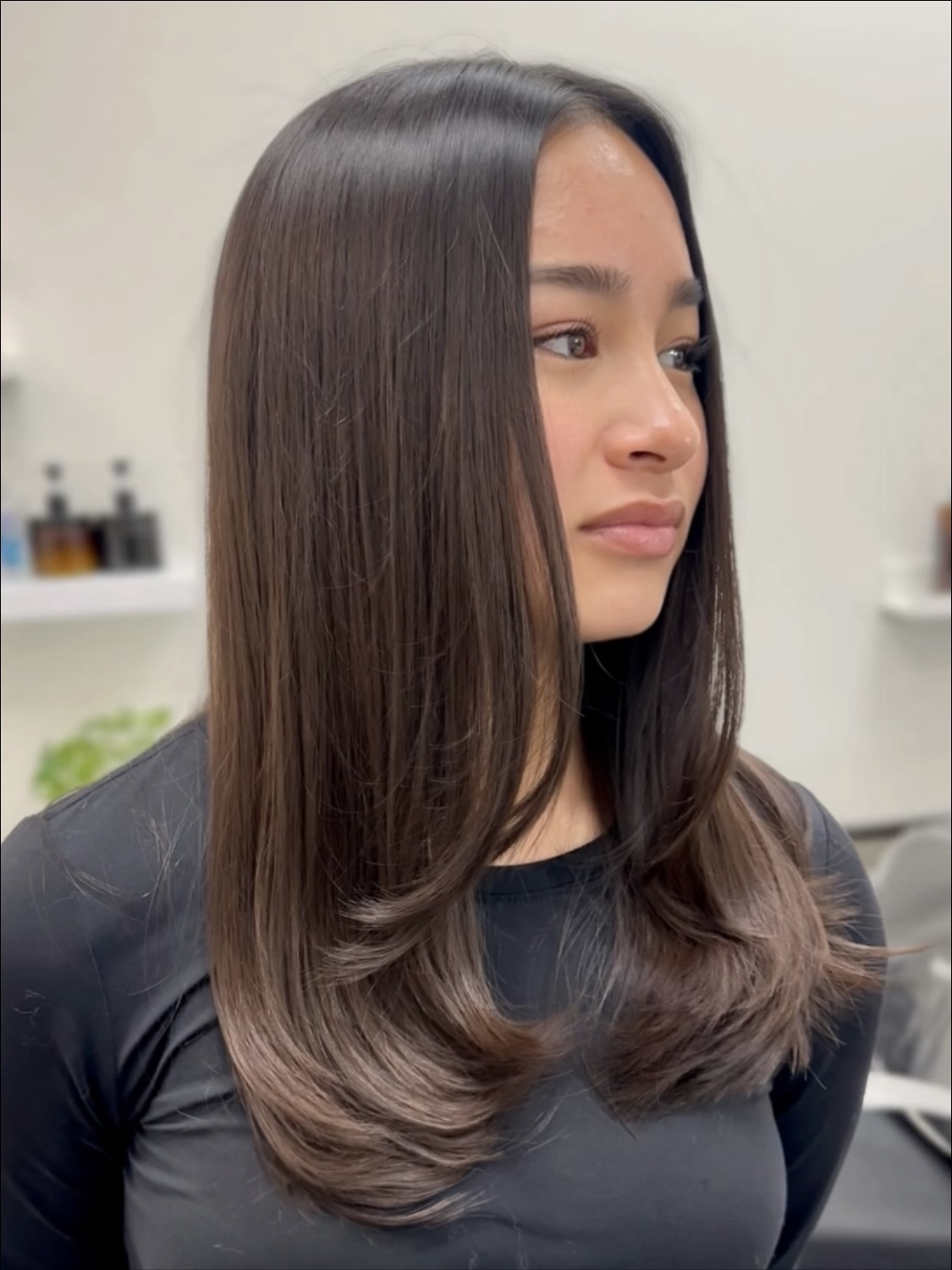 Sleek Long Cut with Subtle Layered Ends