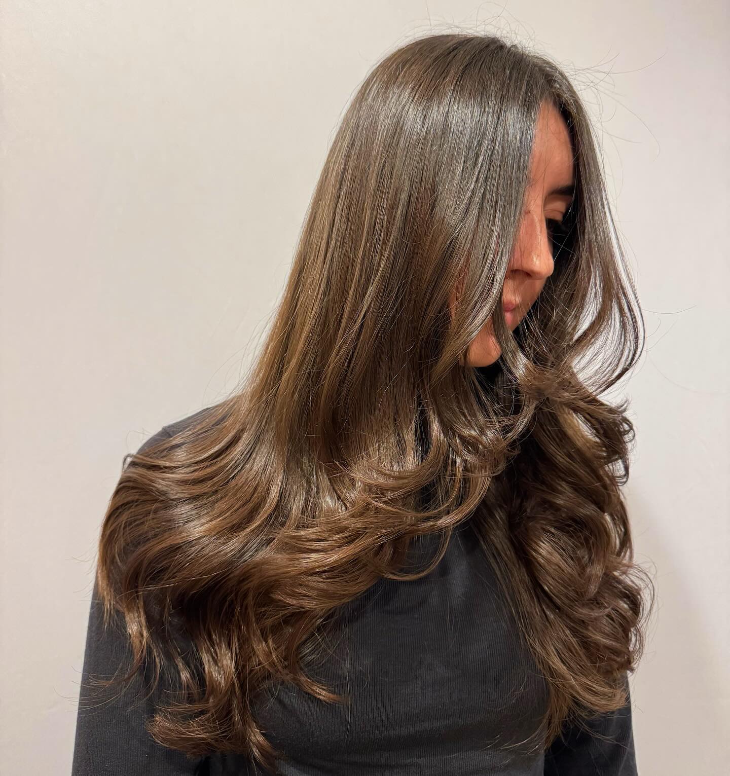 Soft Layered Long Hair with Subtle Highlights
