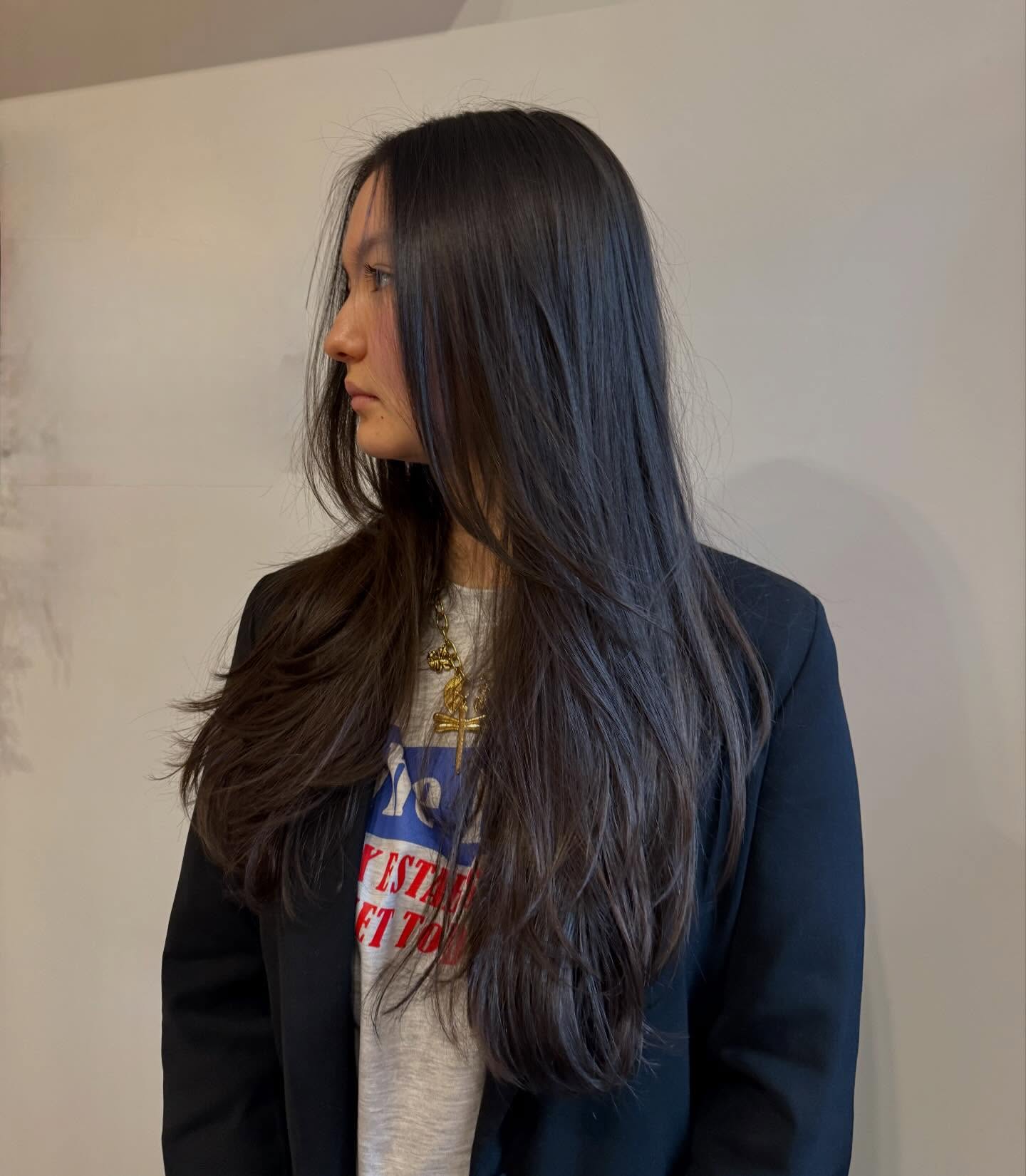 Long, Sleek Layered Cut with Face-Framing Pieces