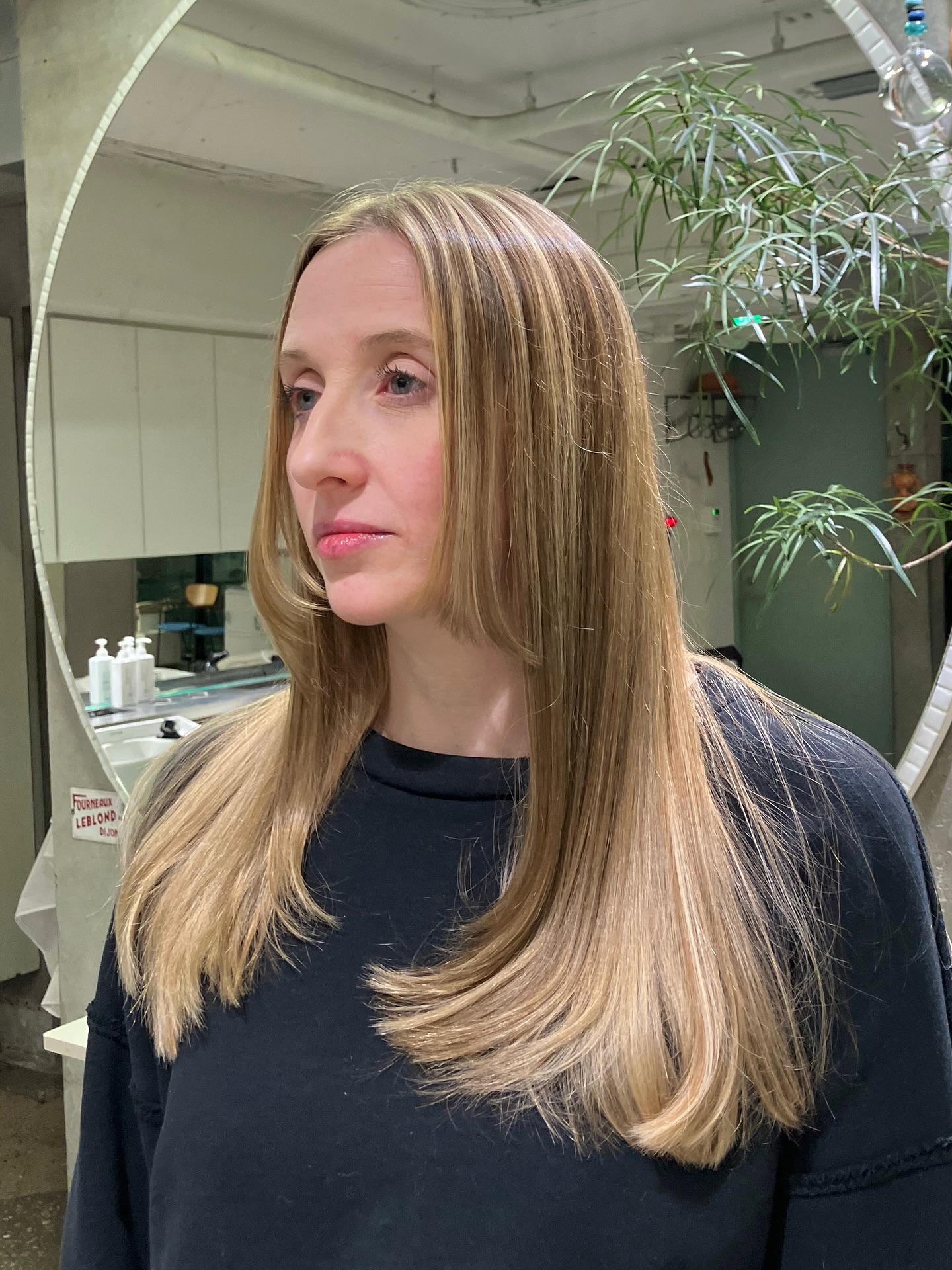 Sleek Long Cut with Subtle Face-Framing Layers