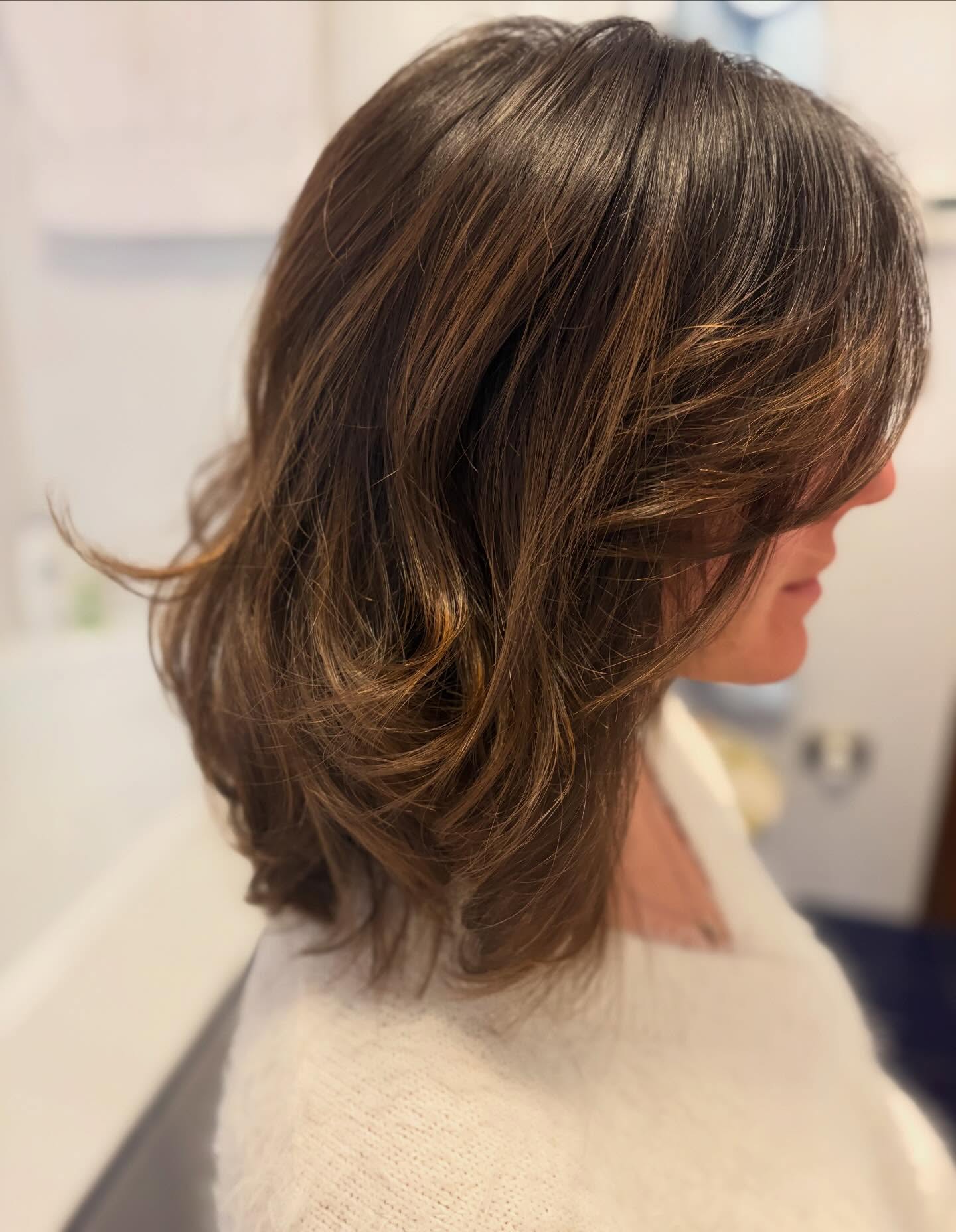 Warm Chestnut Mid-Length Shag with Soft Layers