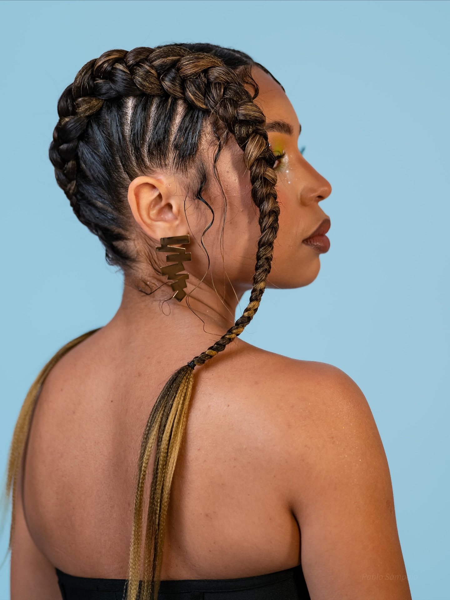 Artistic Braided Ponytail with Ombre Highlights