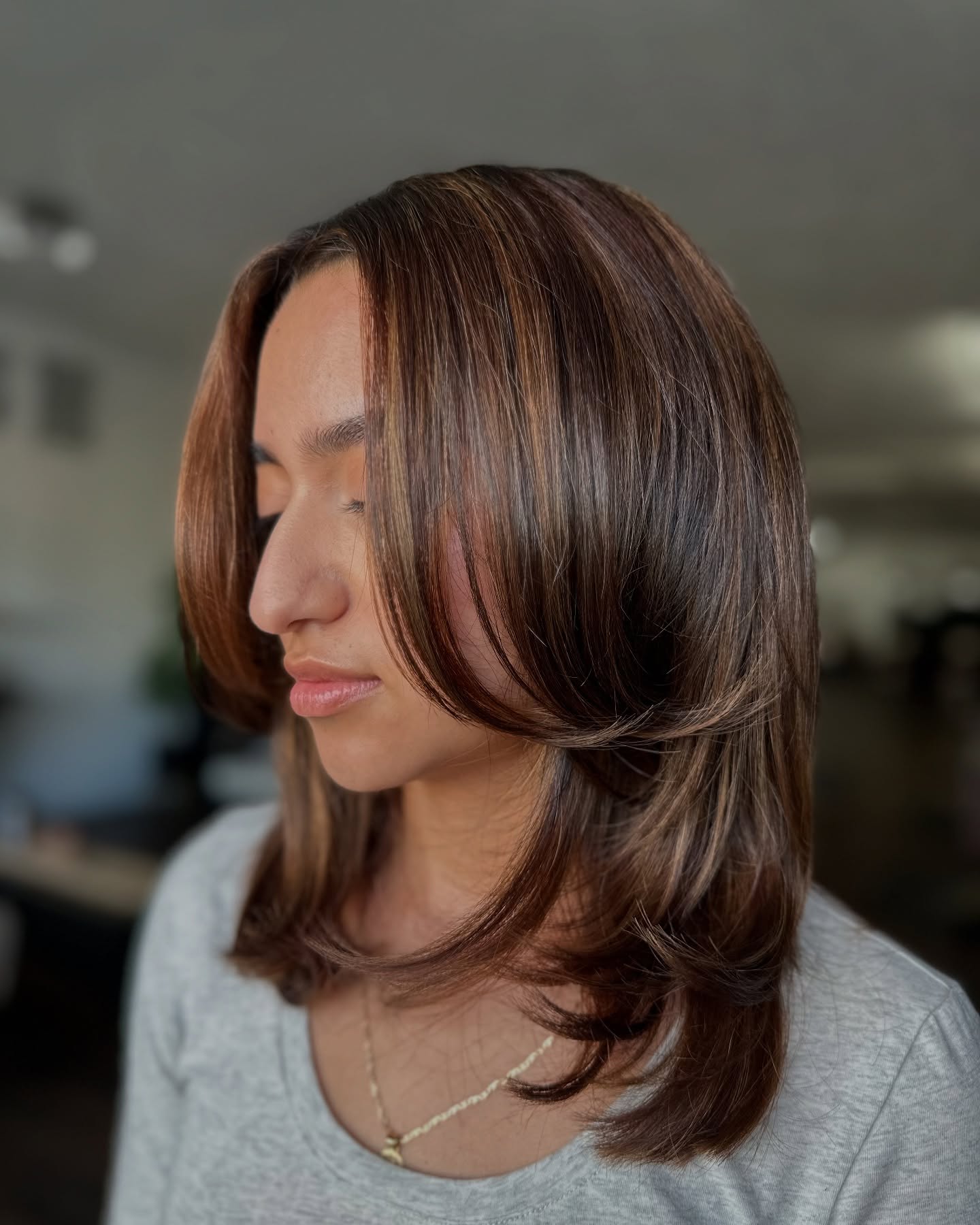 Softly Layered Brown Shag with Subtle Highlights