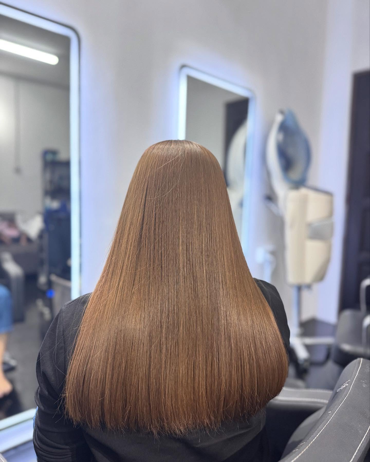 Glossy Straight Brown Hair with Subtle Layers