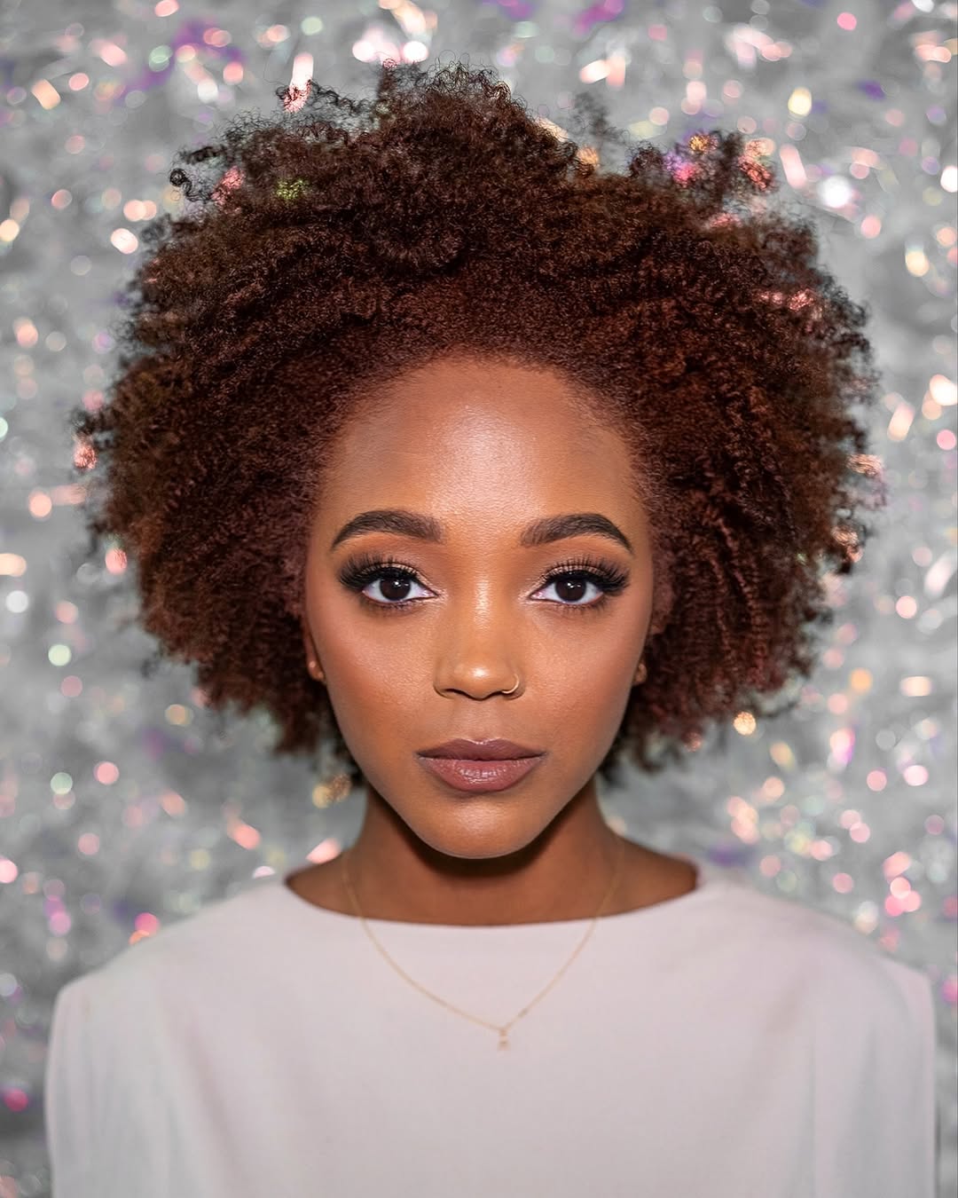 Chic Curly Afro with Rich Auburn Tones