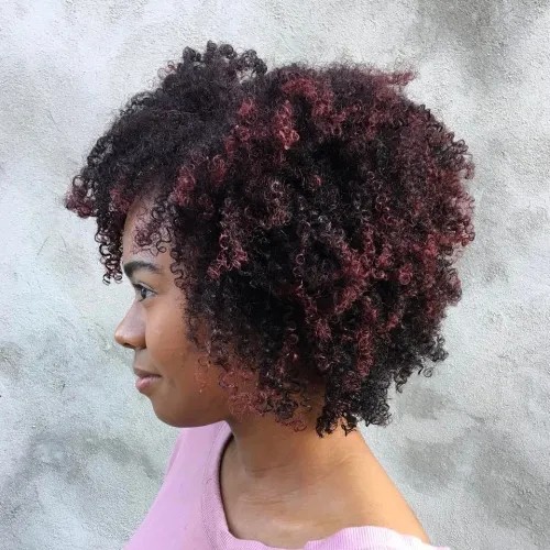 Textured Curly Afro with Subtle Highlights