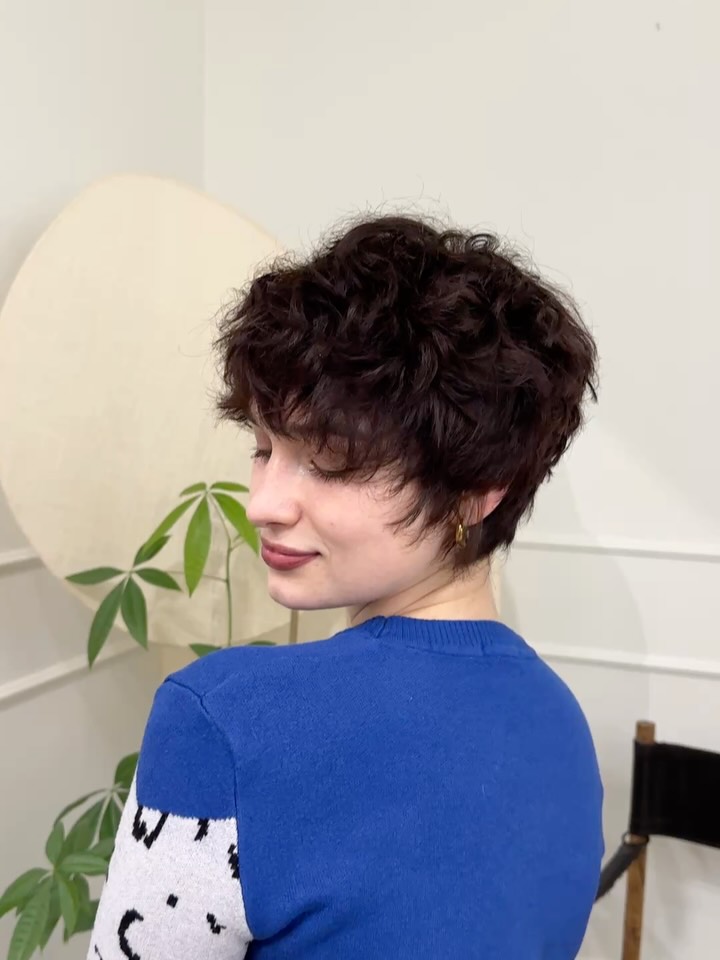 Charming Curly Pixie with Defined Layers