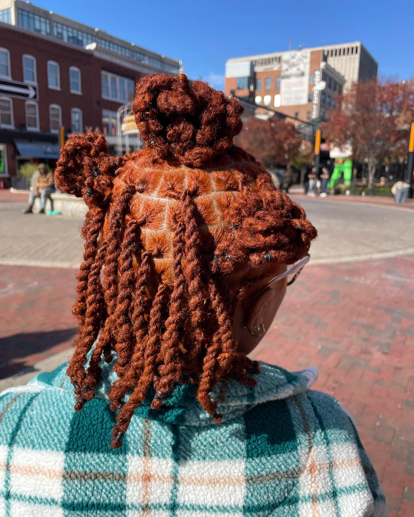 Chic Twisted Locs with Defined Curls