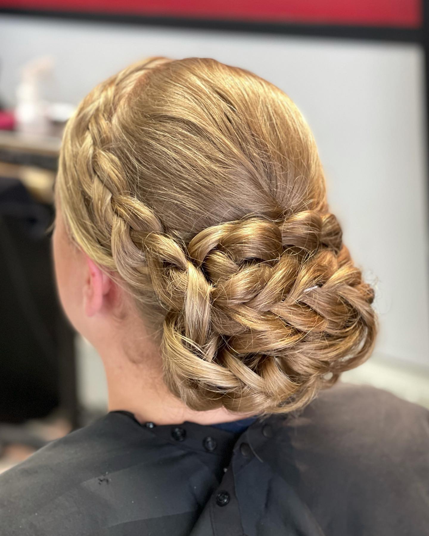 Luxurious Braided Updo with Intricate Detail