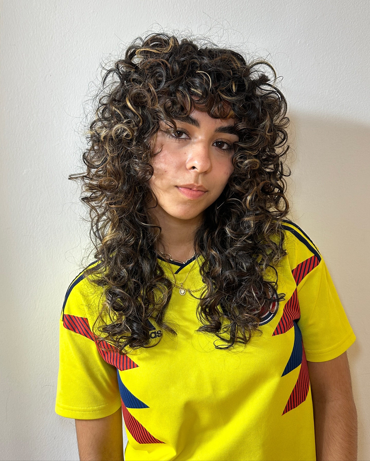 Modern Curly Shag with Defined Curls