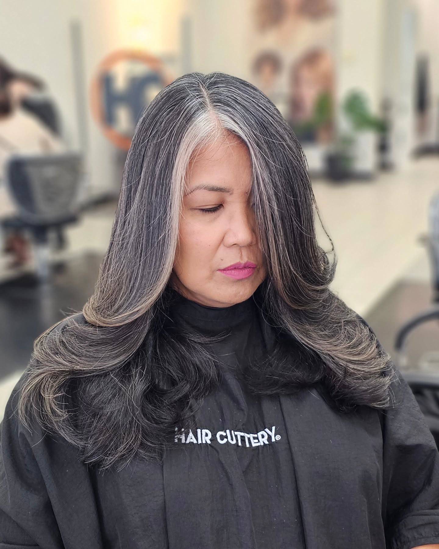 Sleek Layered Cut with Silver Highlights