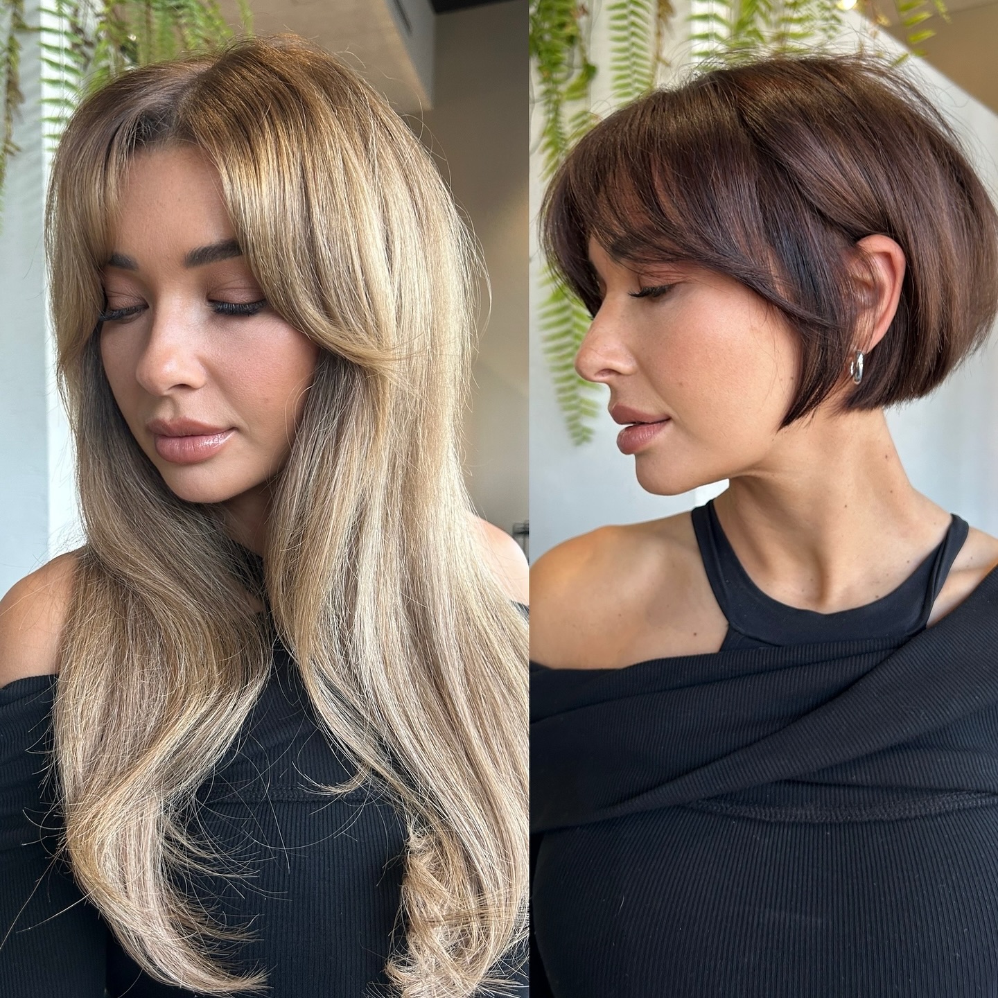 Contemporary Rounded Bob with Soft Texture and Subtle Highlights