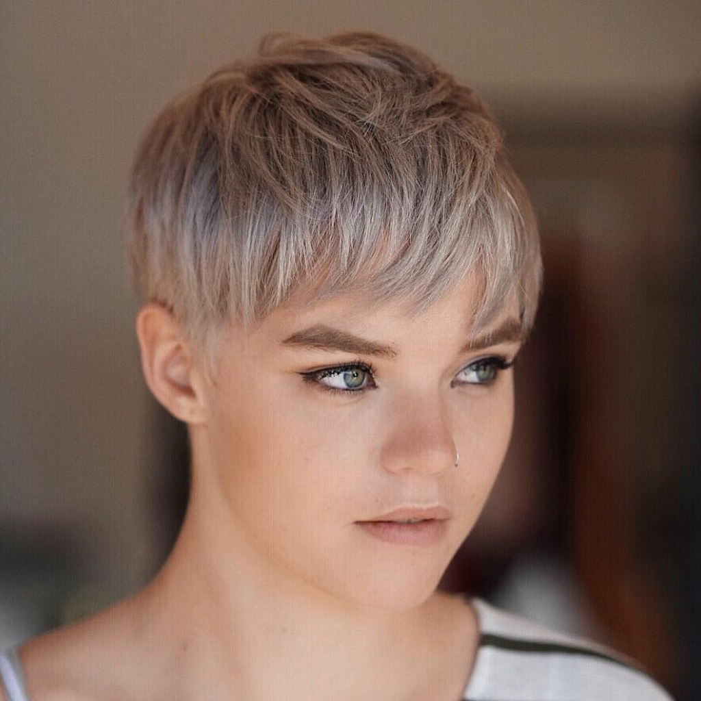 Soft Textured Pixie Cut with Light Silver Highlights