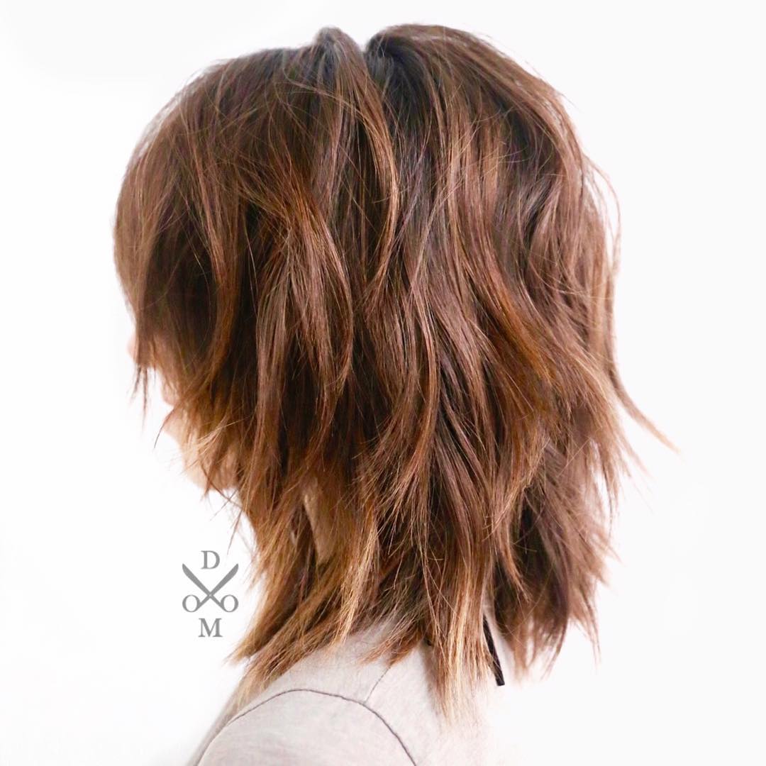 Textured Shoulder-Length Shag with Soft Highlights