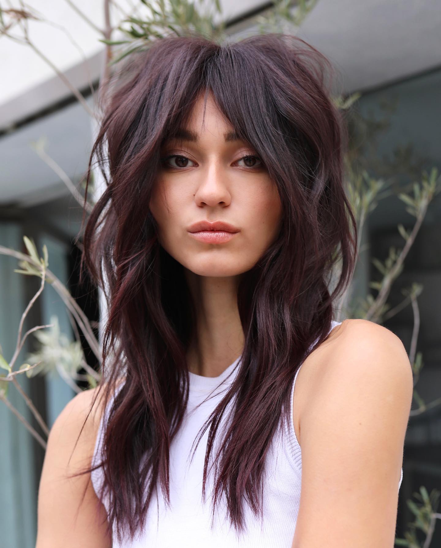 Bold Layered Long Bangs with Rich Burgundy Tones