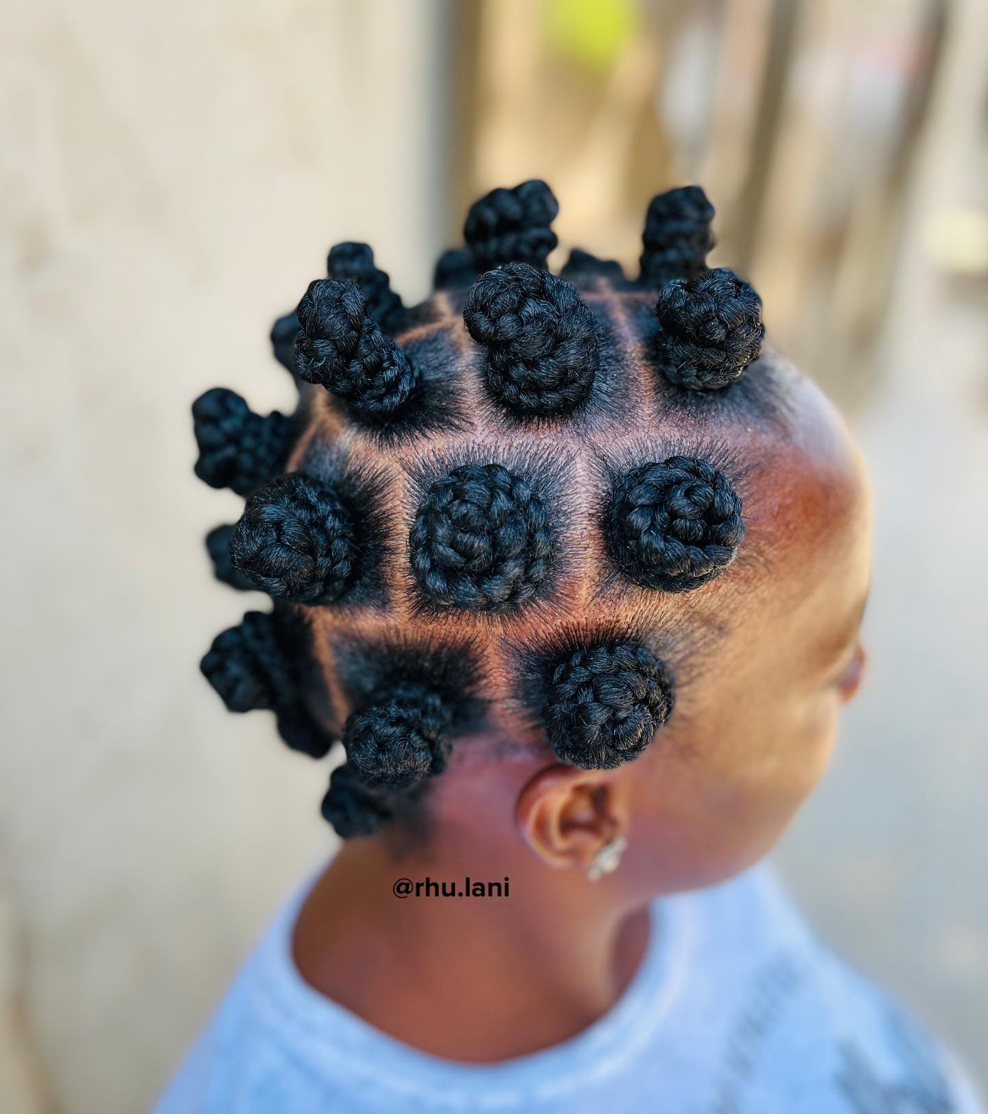 Textured High-Definition Bantu Knots with Intricate Parting