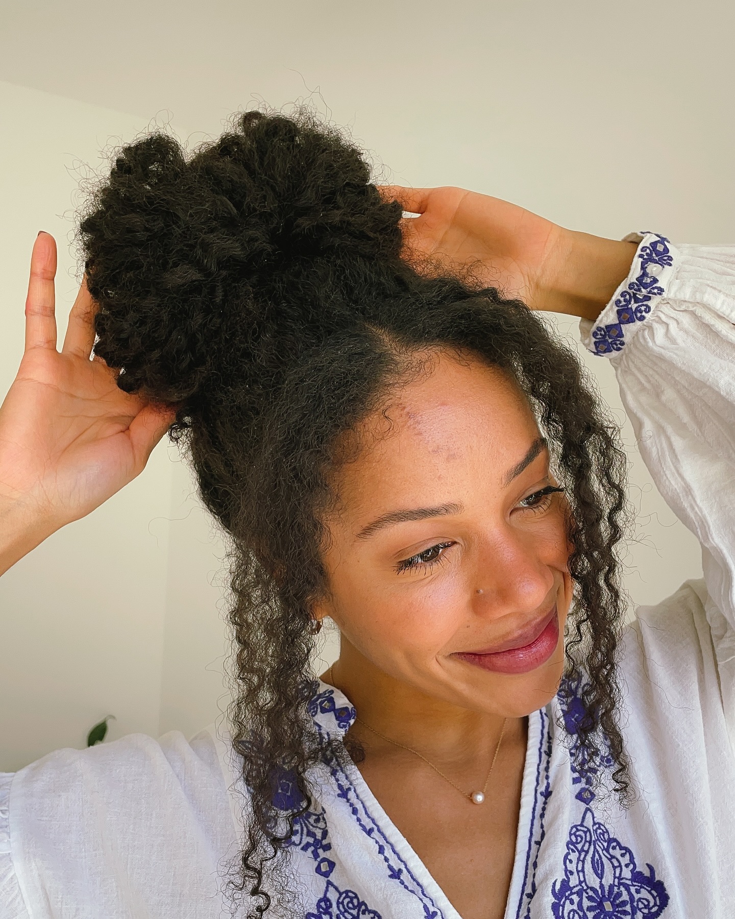 Textured High Coily Bun with Defined Tendrils