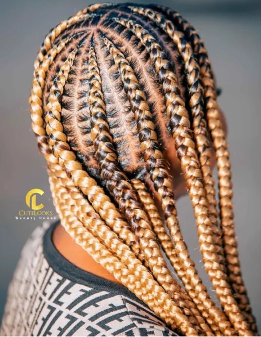 Stylish Ghana Braids with Depth and Dimension