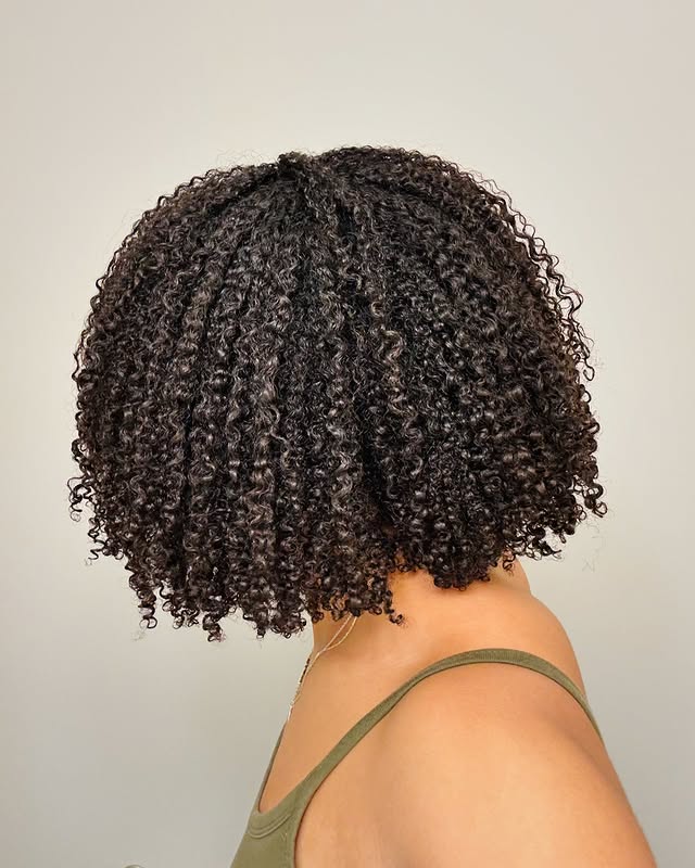 Chic Curly Twist Out with Defined Curls