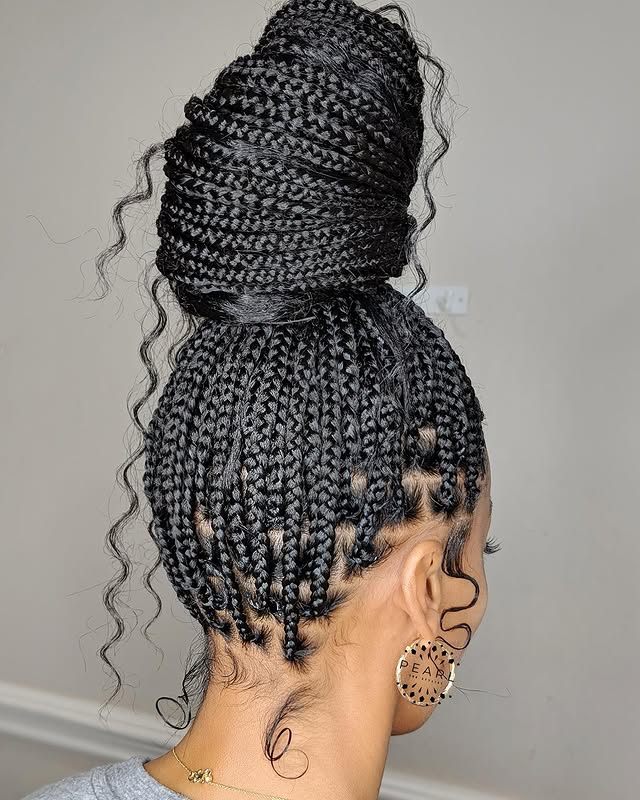 Elegant High Braided Bun with Defined Spiral Tendrils