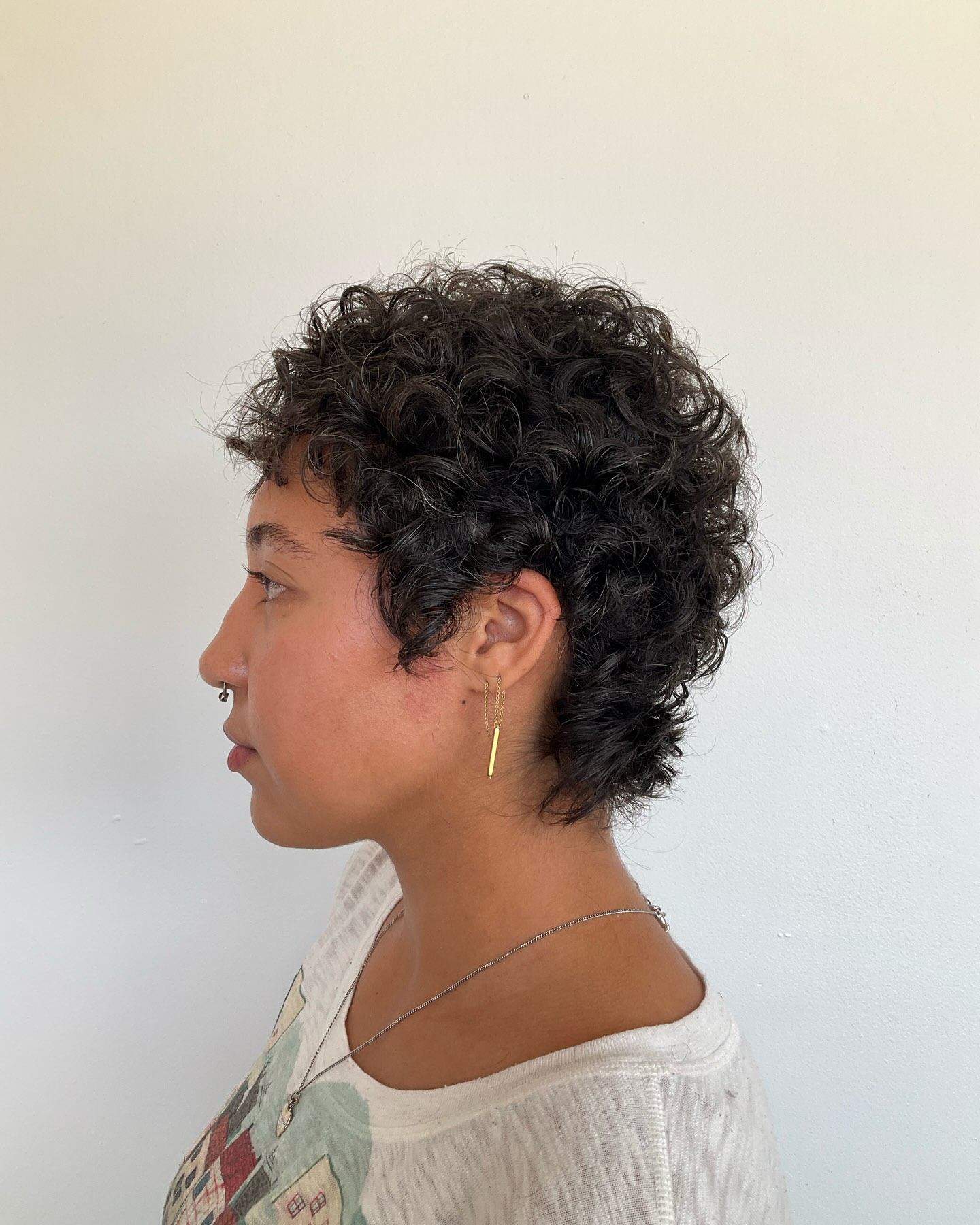 Chic Curly Layered Pixie with Soft Volume