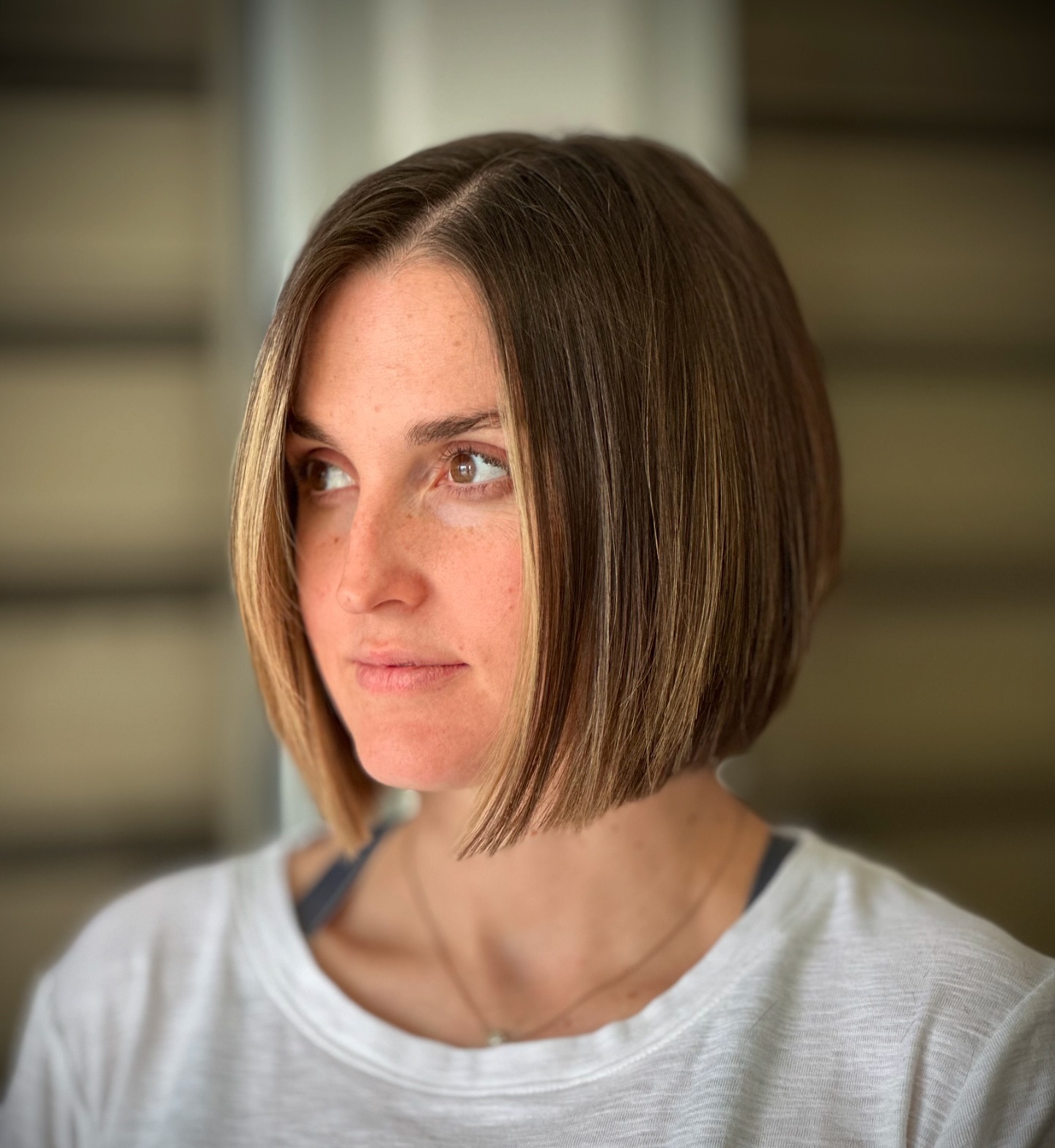 Sleek Straight Neck-Length Bob with Subtle Caramel Highlights