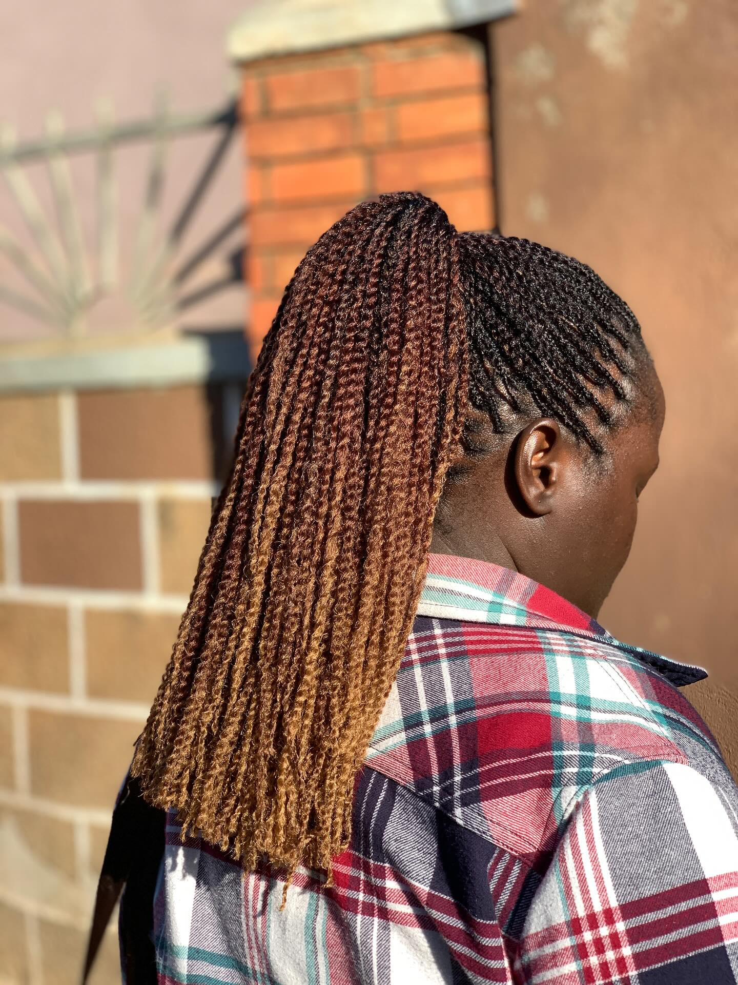 Long Twisted Ponytail with Ombre Effect