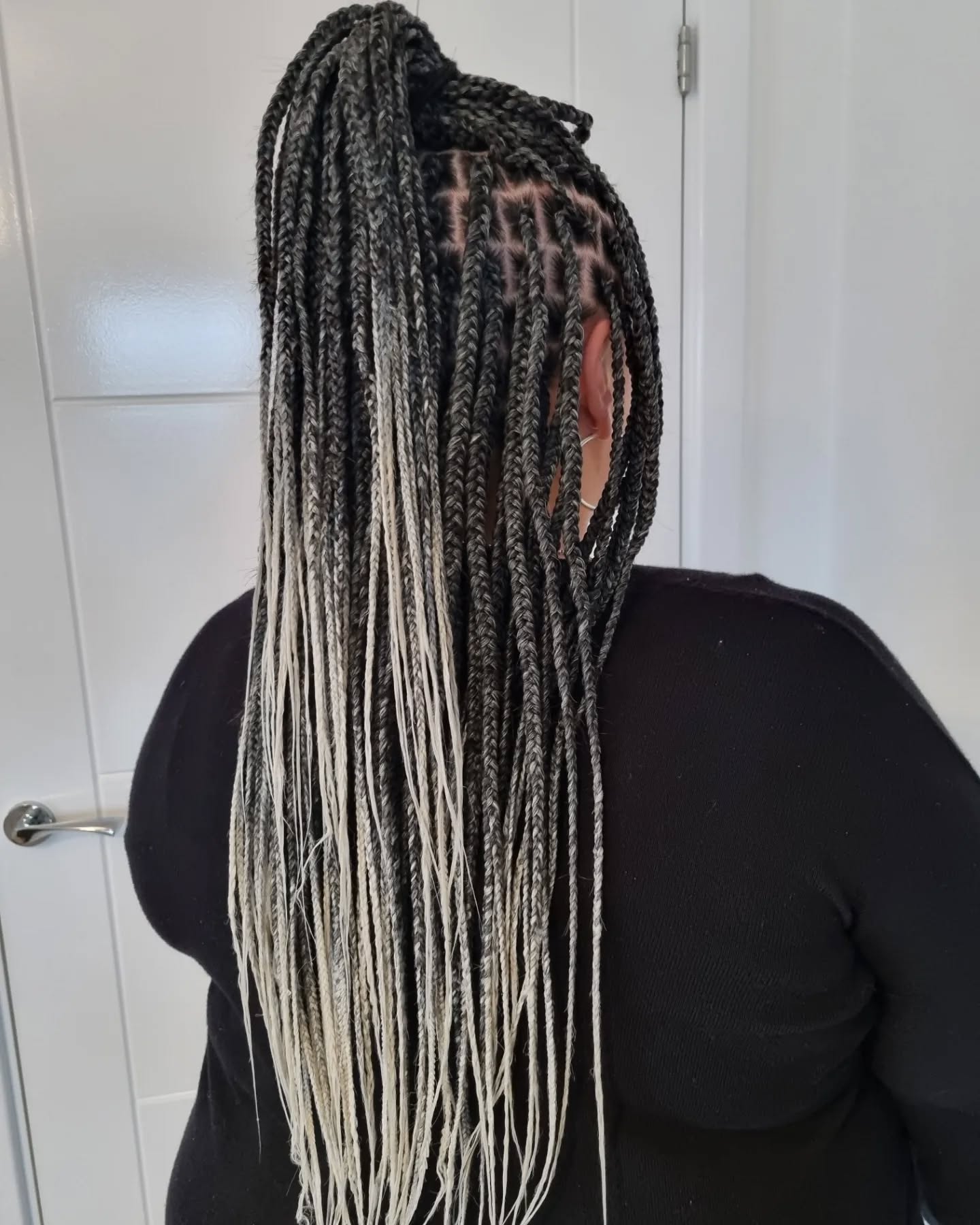 Bold Two-Tone Box Braids with Dramatic Length