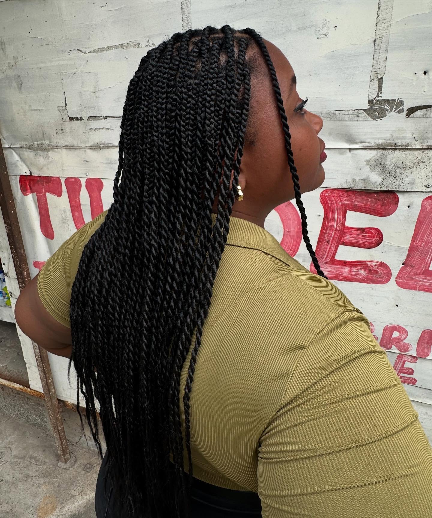 Elegant Long Box Braids with Defined Twists