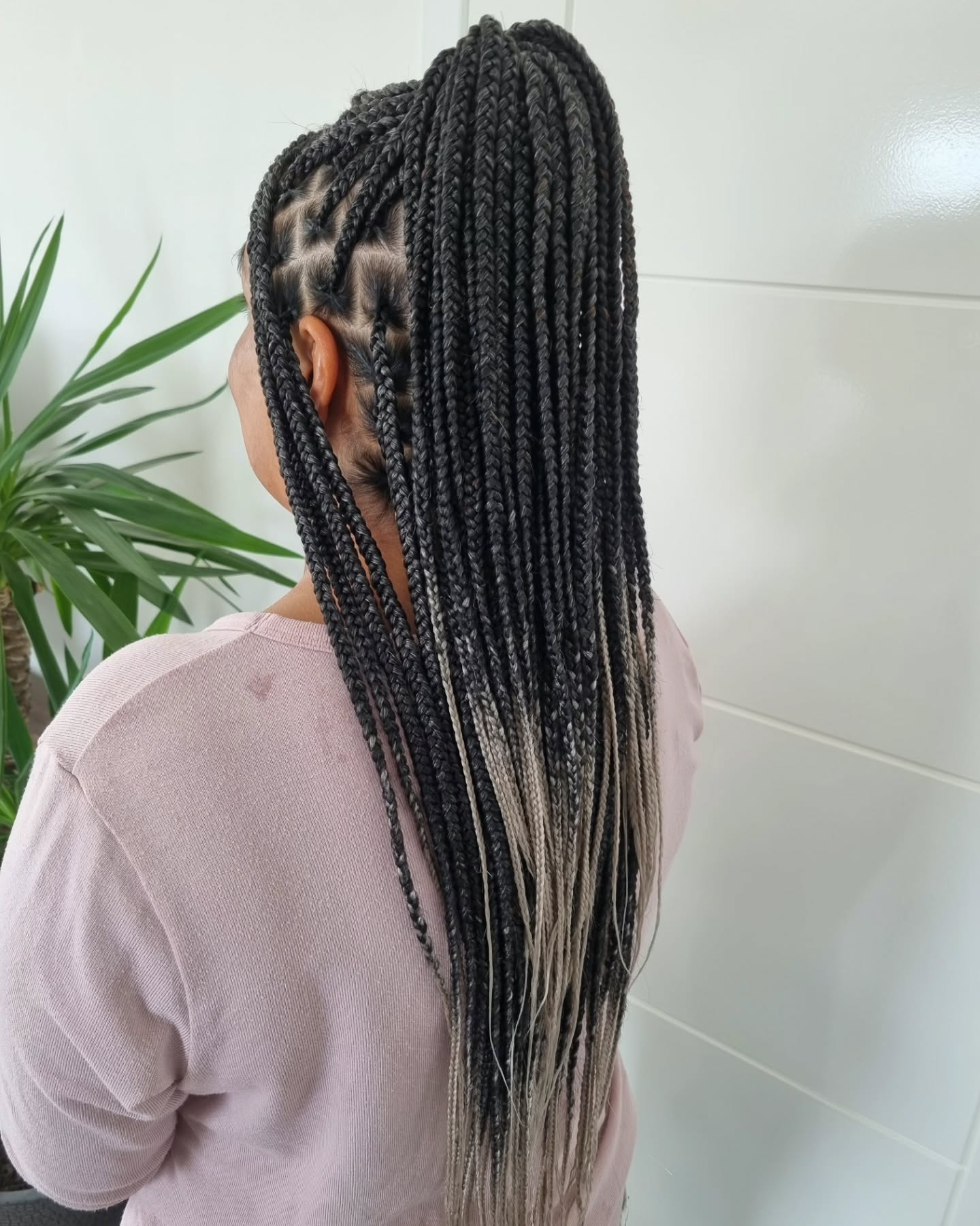 Elegant Ombre Box Braids with Unique Cornrow Detailing