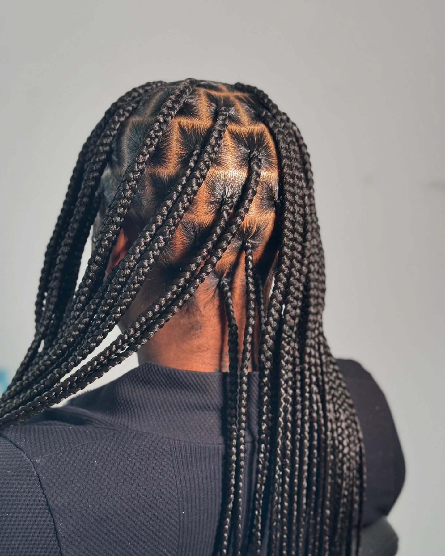 Intricate Cornrow Box Braids with Lengthy Cascade