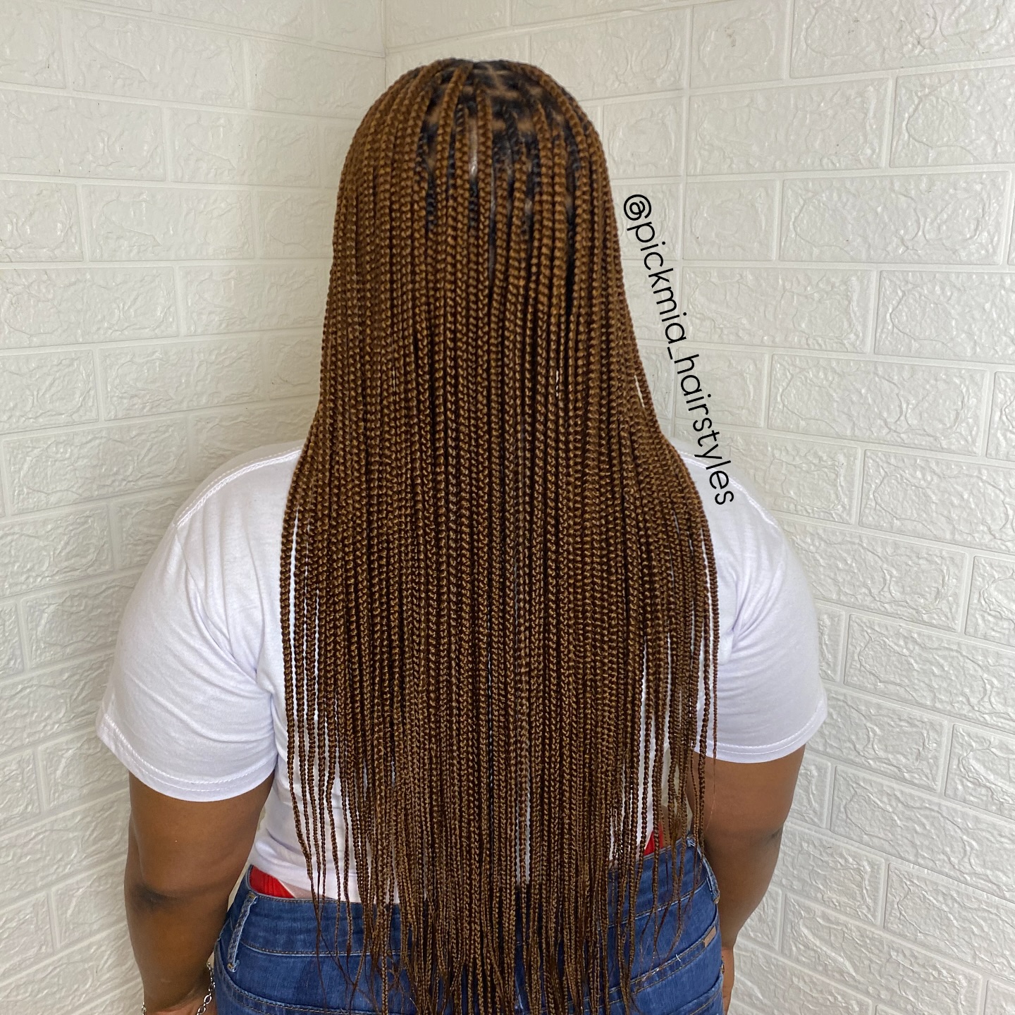 Long and Sleek Box Braids with Natural Shine