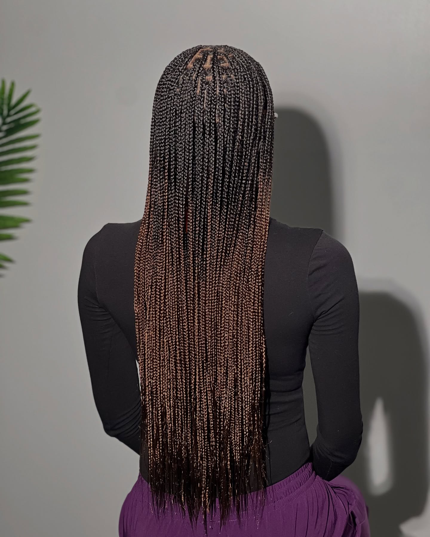 Sleek Waist-Length Box Braids with Subtle Ombre Effect