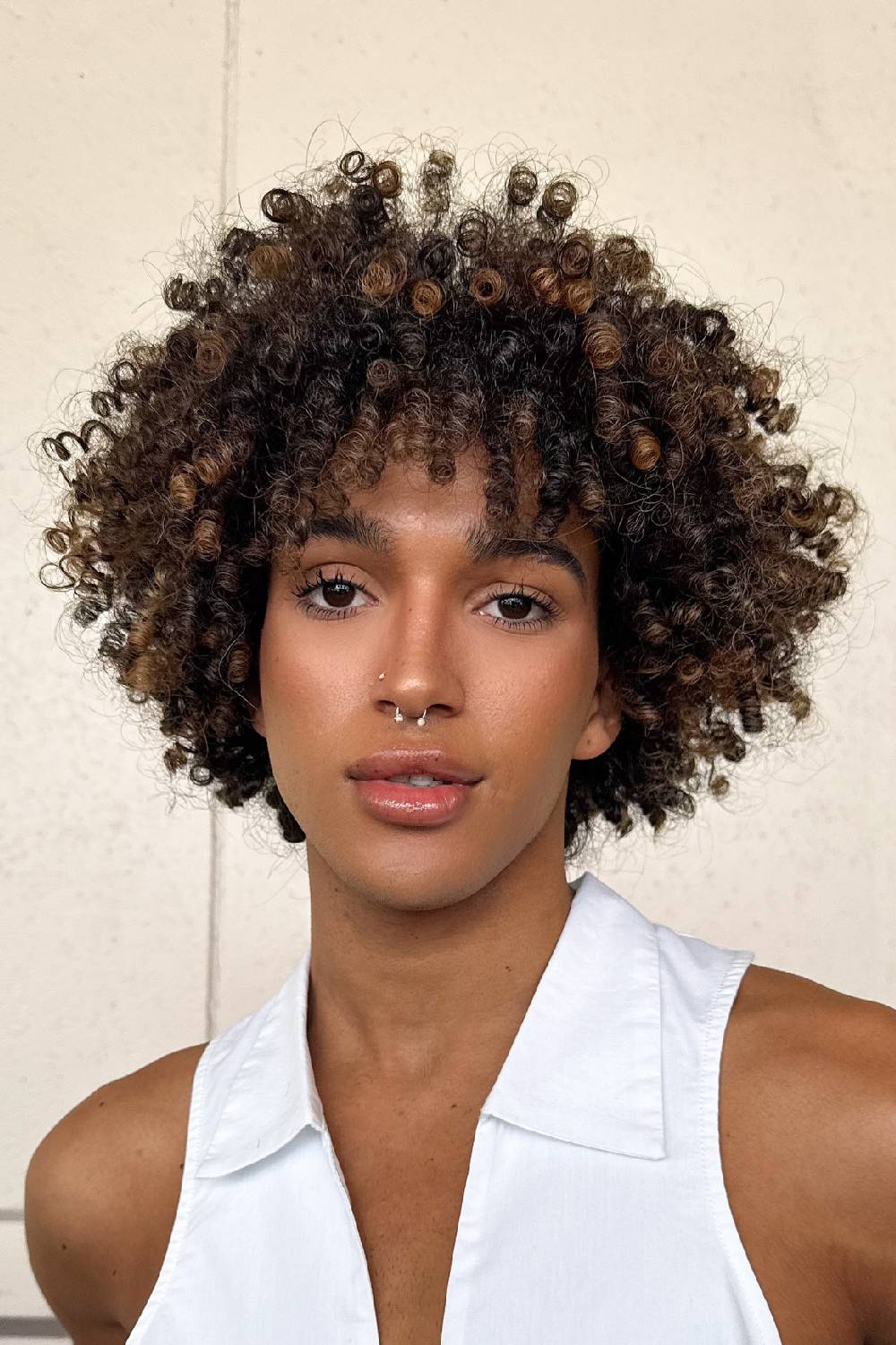 Textured Curly Afro with Soft Highlights