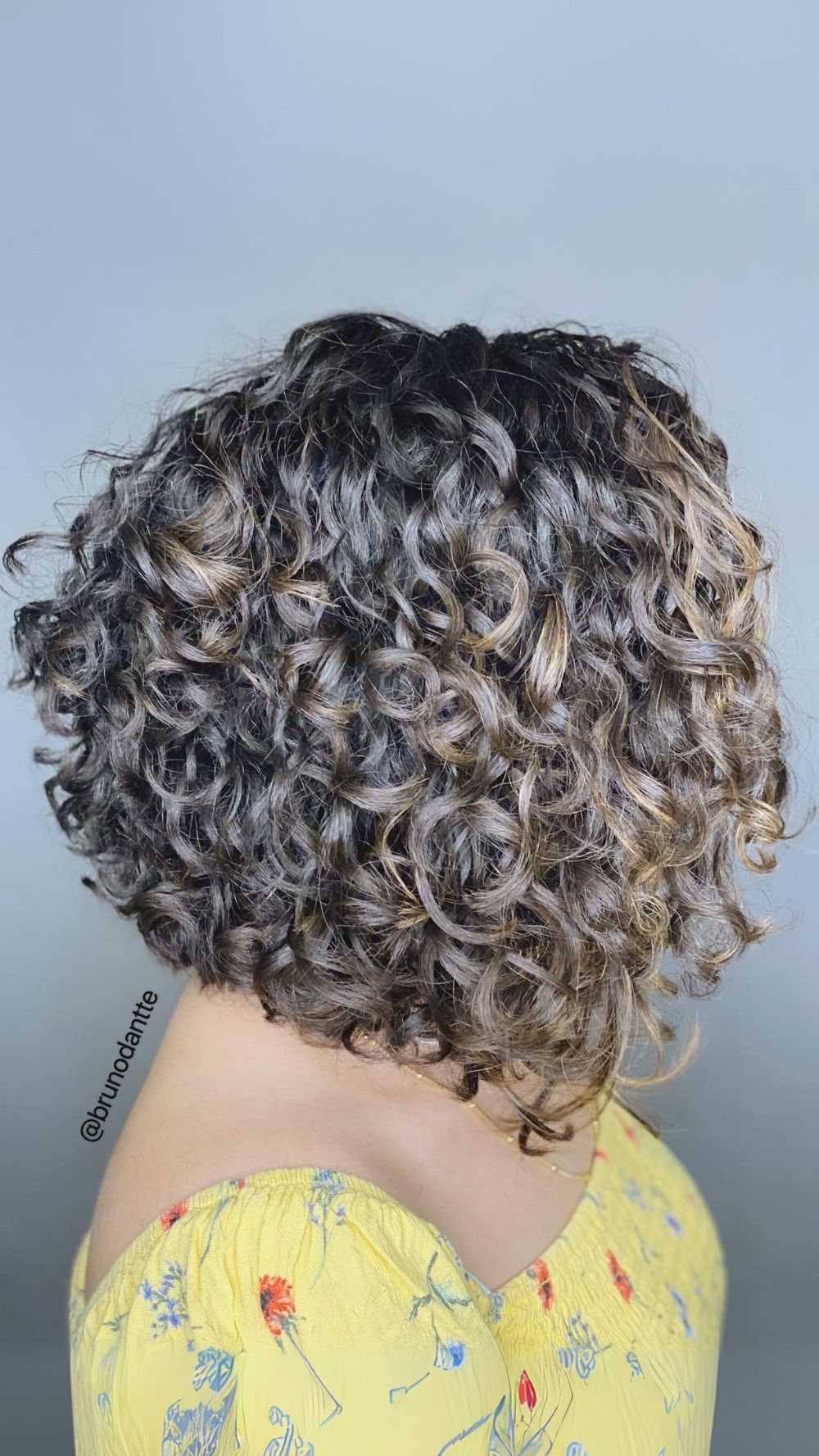 Dynamic Curly Bob with Subtle Ombre Highlights