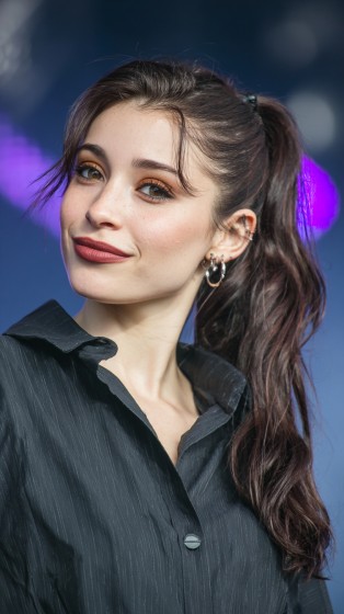 Sleek High Ponytail with Soft Face-Framing Layers