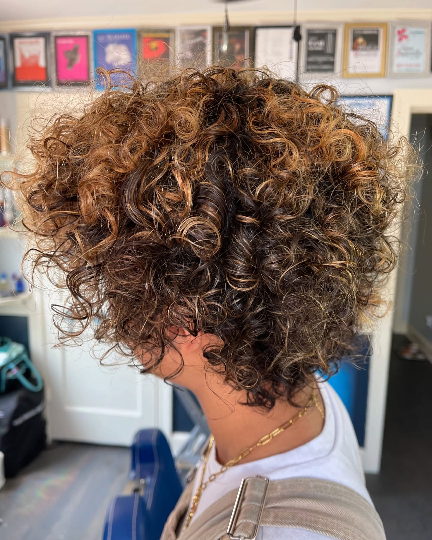 Textured Short Curly Cut with Sun-Kissed Highlights